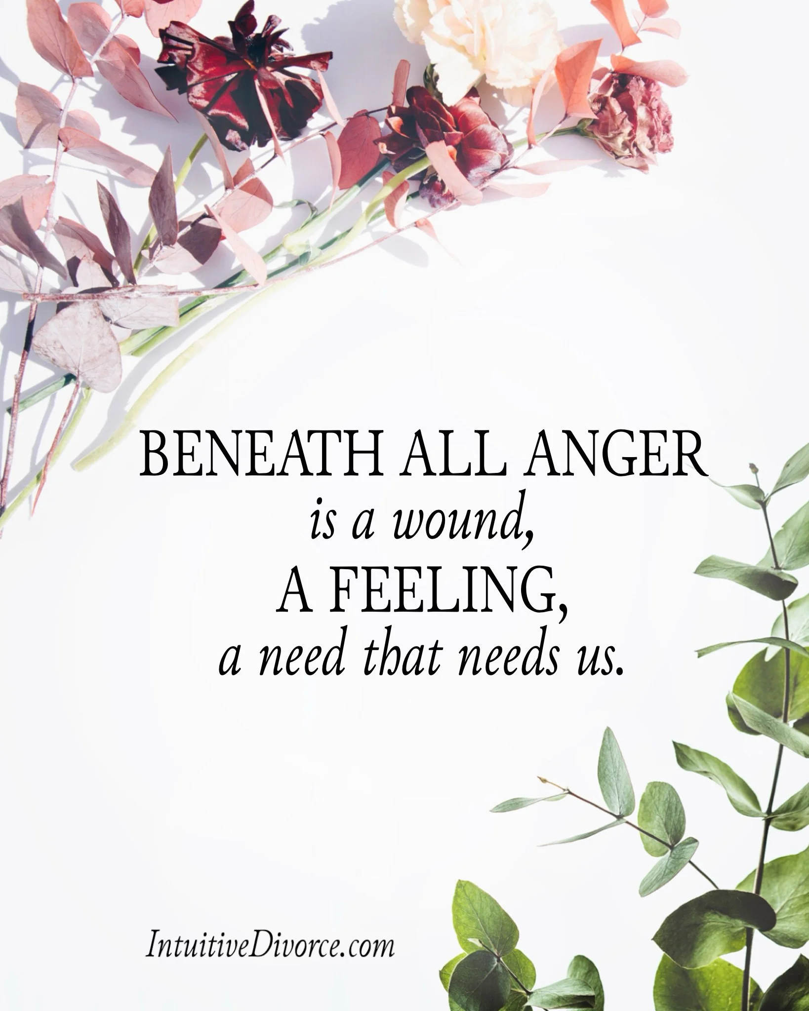 Quote card from divorce coach Kristen Noel with the message: Beneath all anger is a wound, a feeling, a need that needs us.