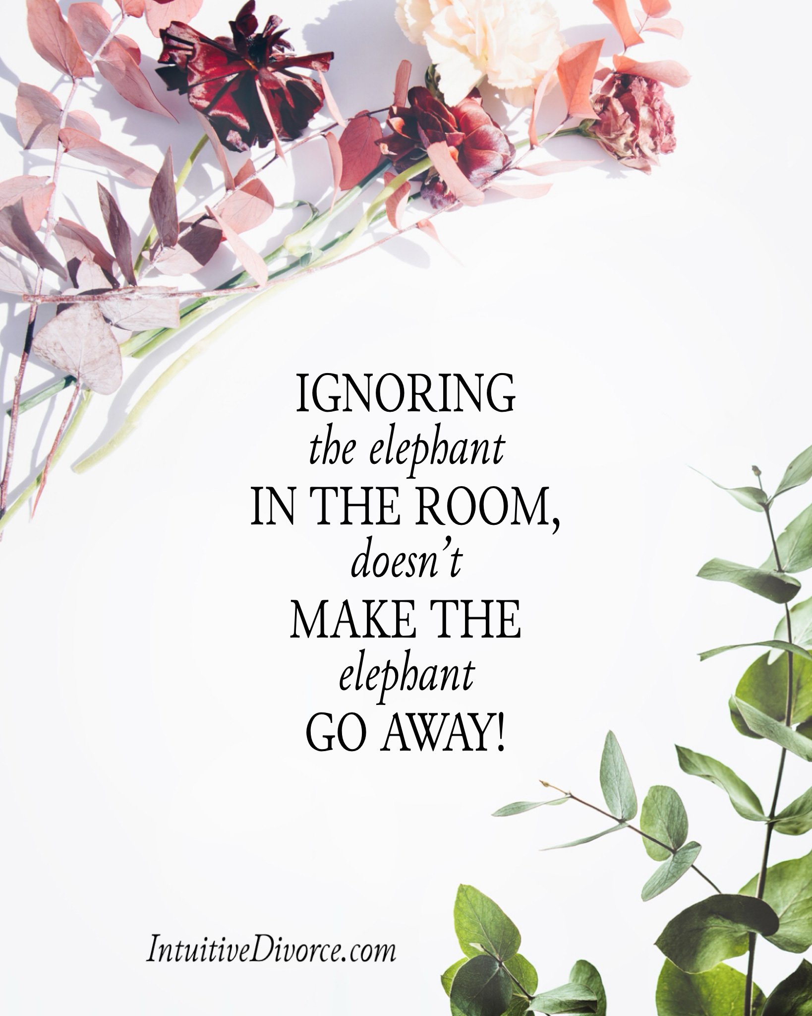 Quote card from divorce coach Kristen Noel with the message: Ignoring the elephant in the room doesn't make the elephant go away!