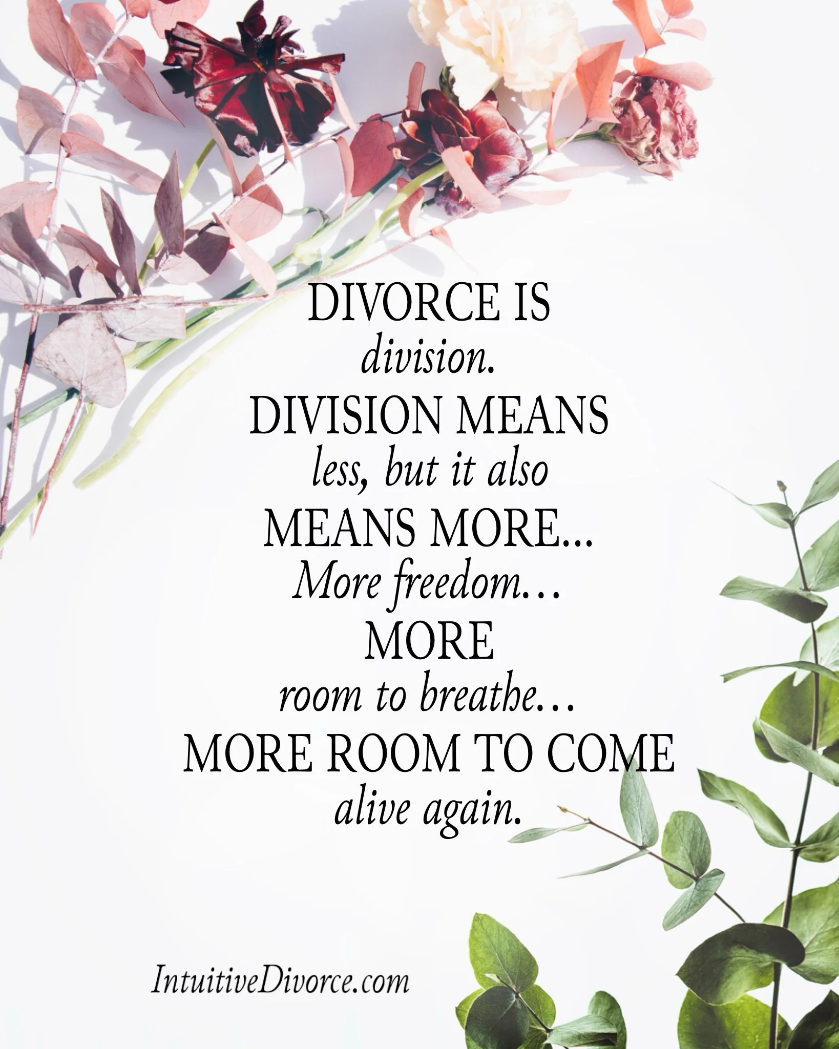 Quote card from divorce coach Kristen Noel with the message: Divorce is a division Division means less, but it also means more...more freedom...more room to breath...more room to come alive again.