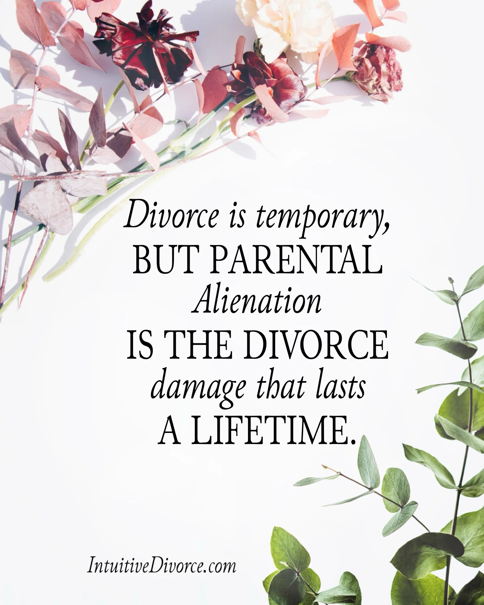Quote card from divorce coach Kristen Noel with the message: Divorce is temporary, but parental alienation is the divorce damage that lasts a lifetime.