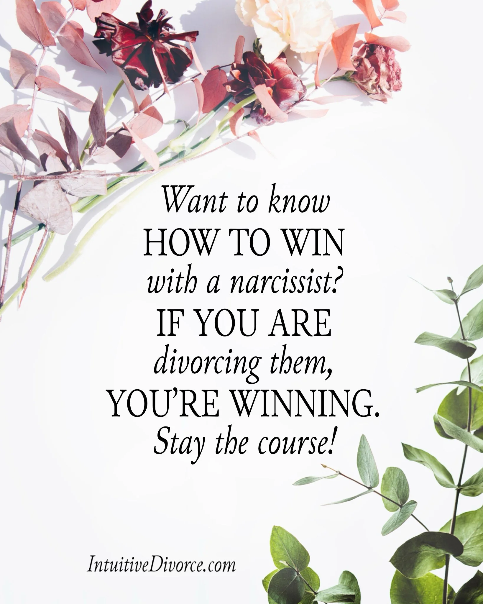 Quote card from divorce coach Kristen Noel with the message: Want to know how to win with at narcissist? If you are divorceing them, you're winning. Stay the course!