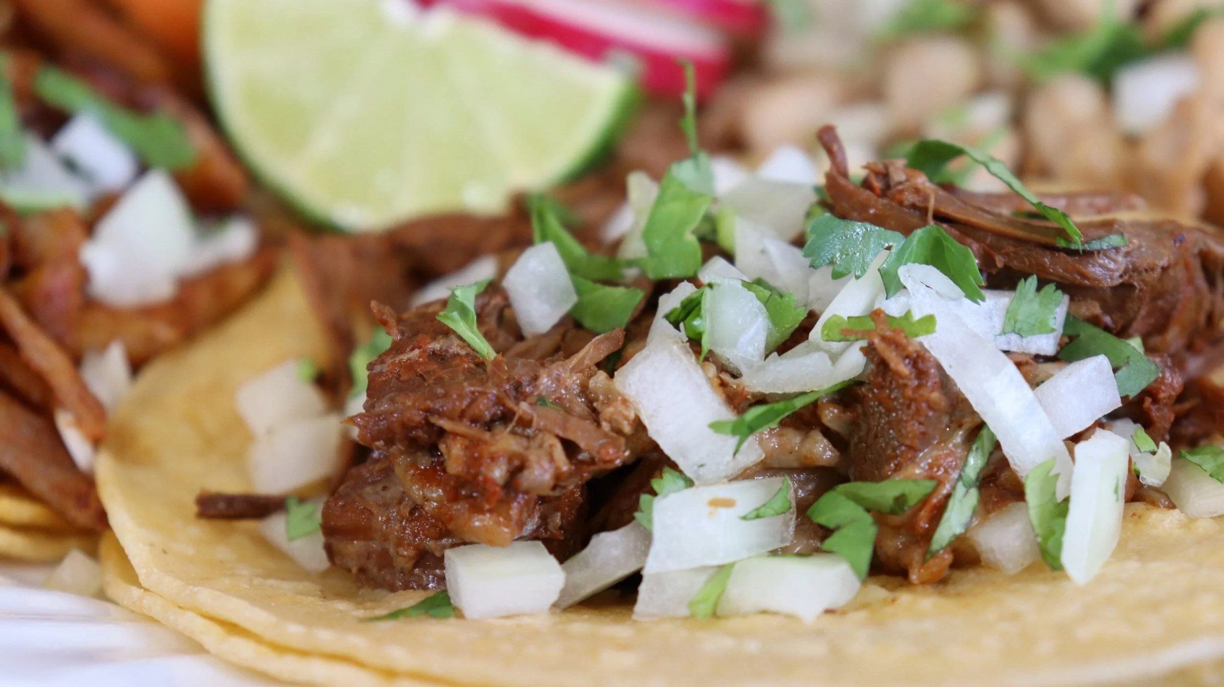 IMG_4227+-+Taco.jpg