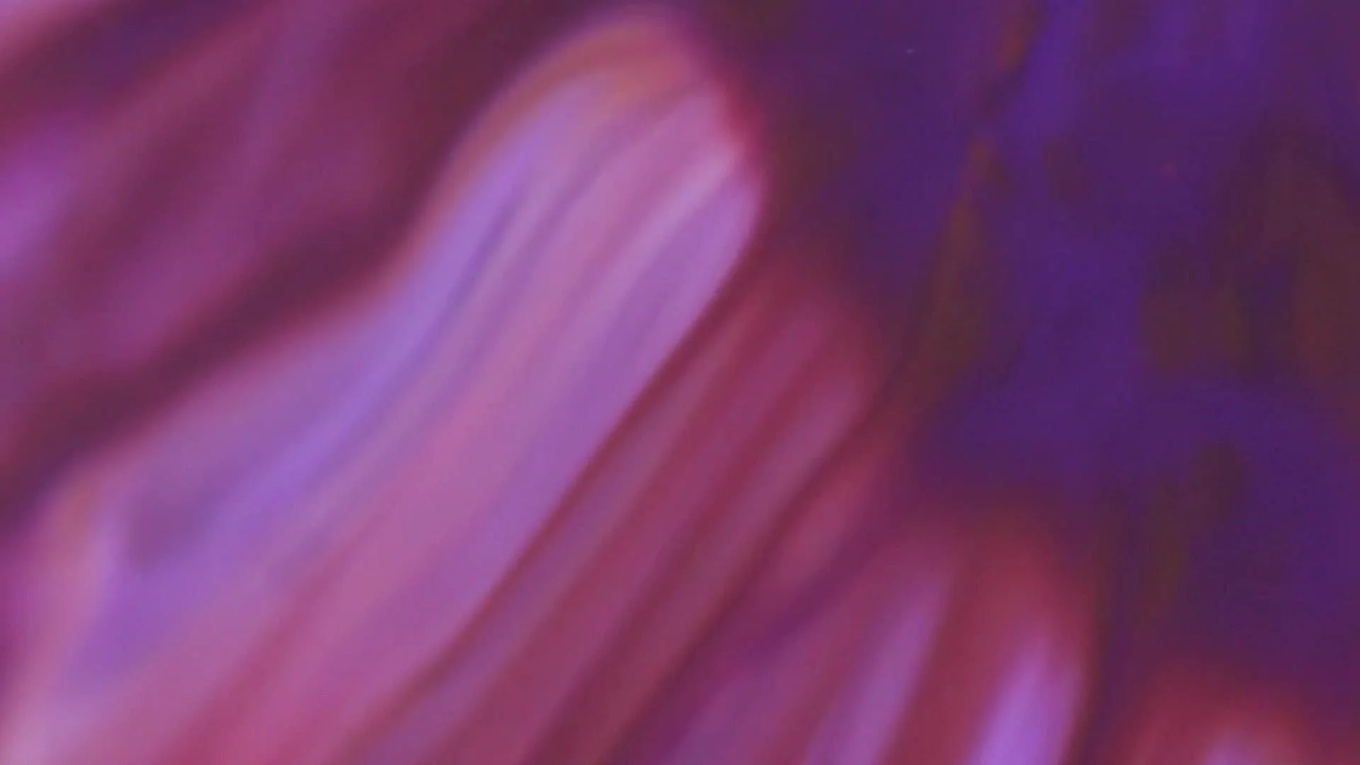 Brooks Running - Trail Collection - Fall 2025