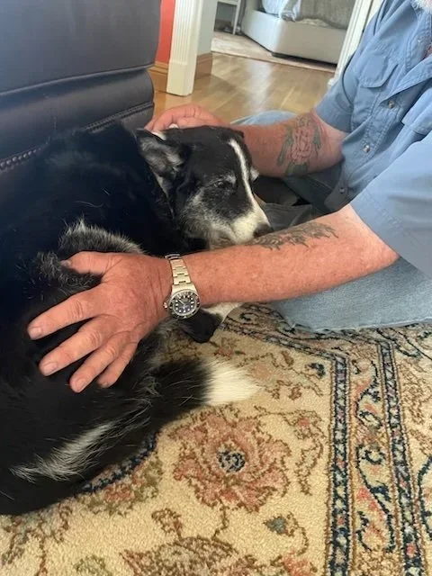 A person with tattoos on their arms is sitting on the floor, holding a black and white dog while the dog rests its head on the person's arm. The scene is inside a home, next to a black piece of furniture and a patterned rug.