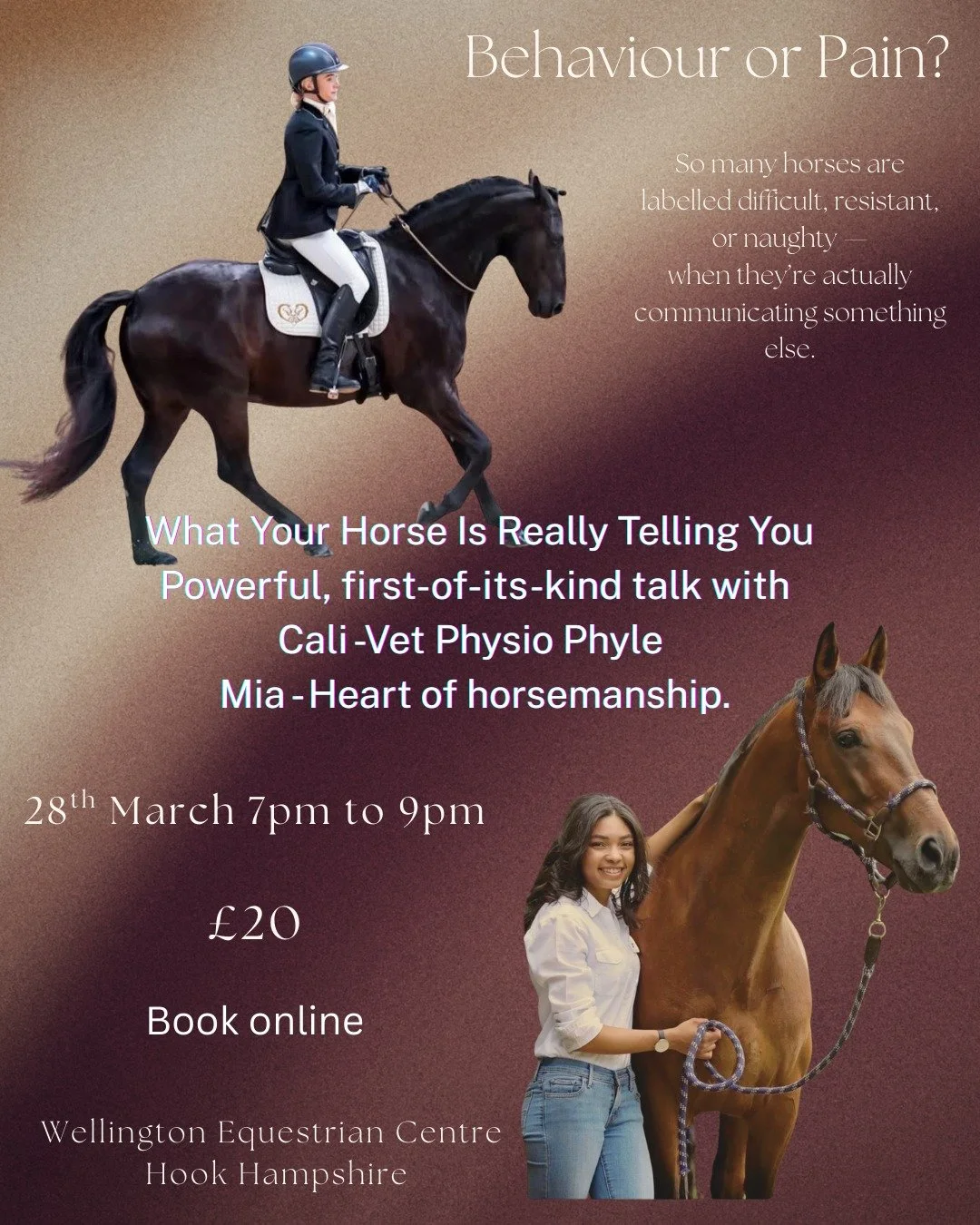 Education Evening - Behaviour or Pain?