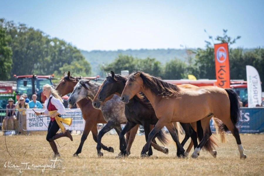 …then the academy is for you!