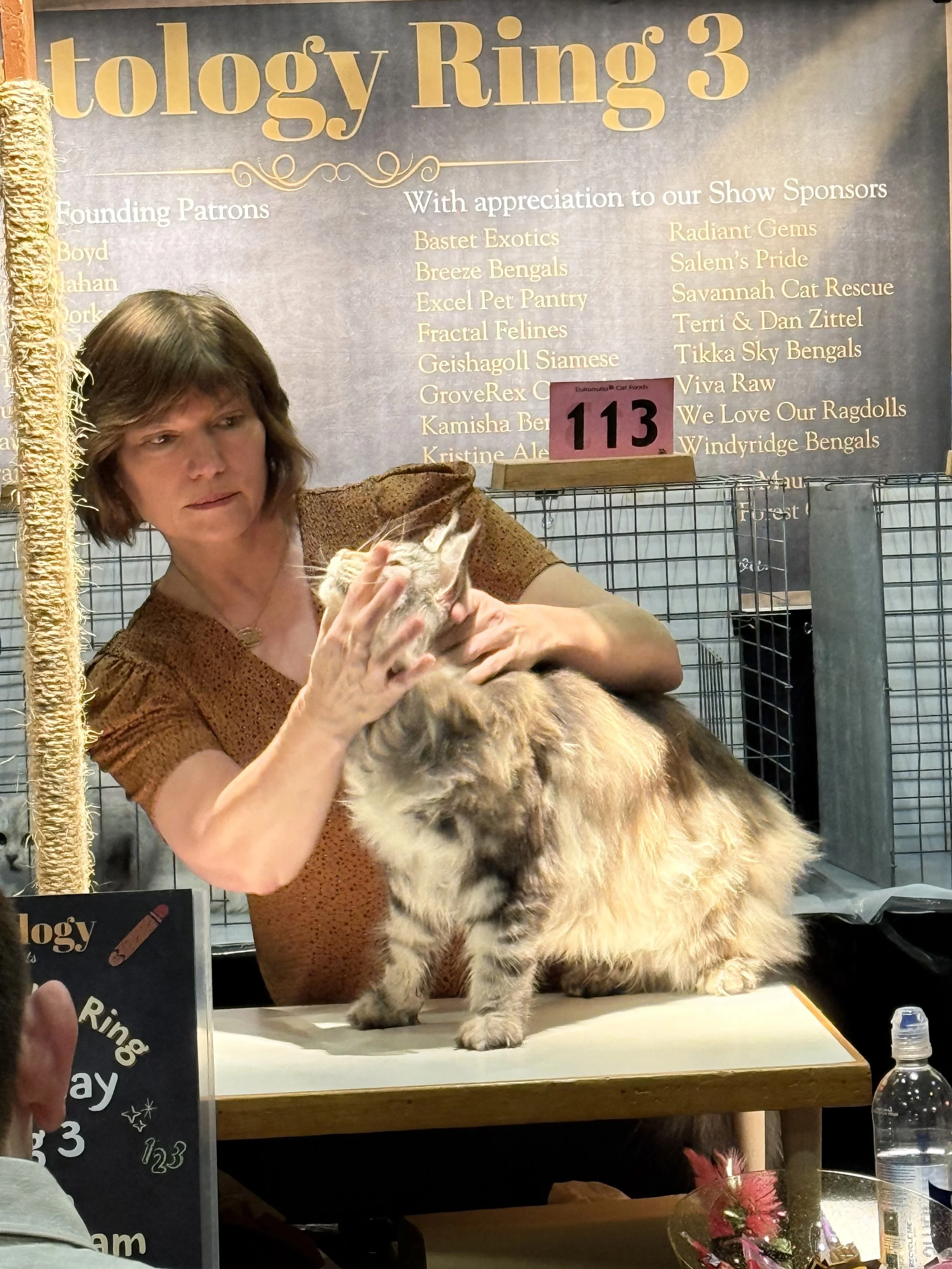 A woman handling a fluffy kitten on a table at a cat show event, with a large banner in the background listing sponsors and patrons.
