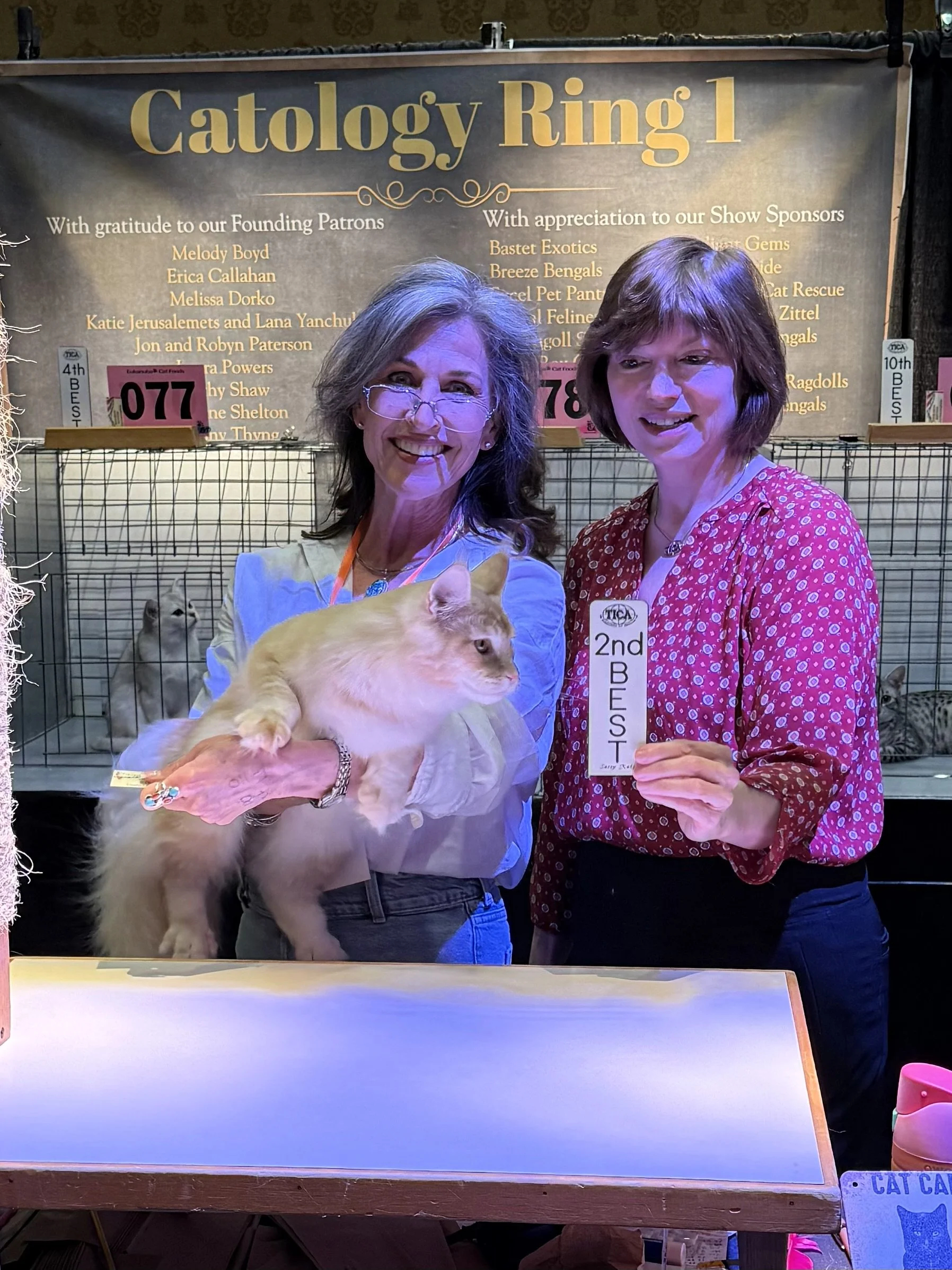 Two women standing at a cat show, one holding a fluffy cream-colored cat and the other holding a second-place ribbon, in front of a backdrop with the text 'Catology Ring 1' and listed sponsors.