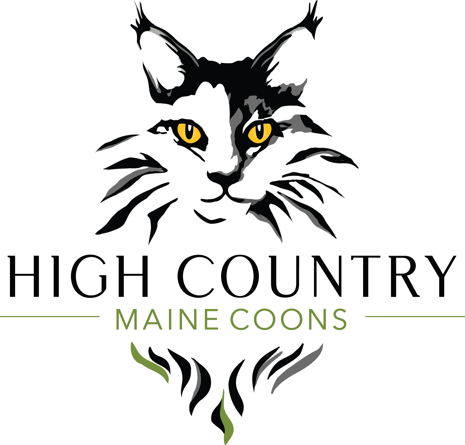 High Country Maine Coons
