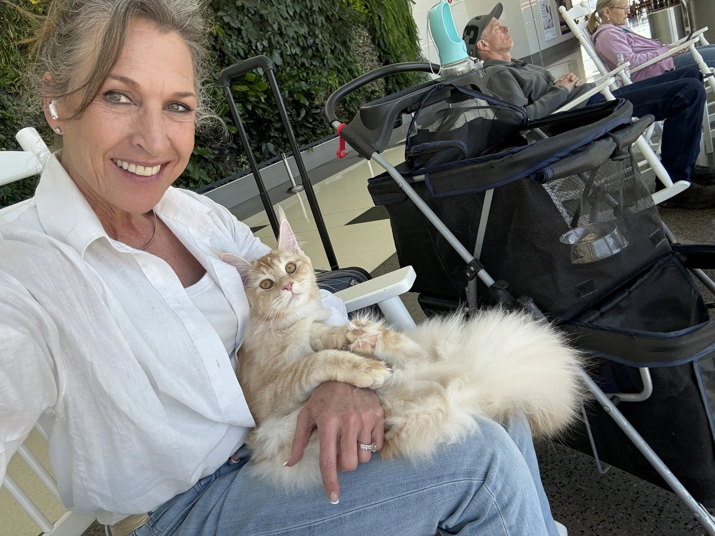 Jessica Mace traveling with Wachiwi Tala Ayuna at the airport in Birmingham Alabama after a cat show.