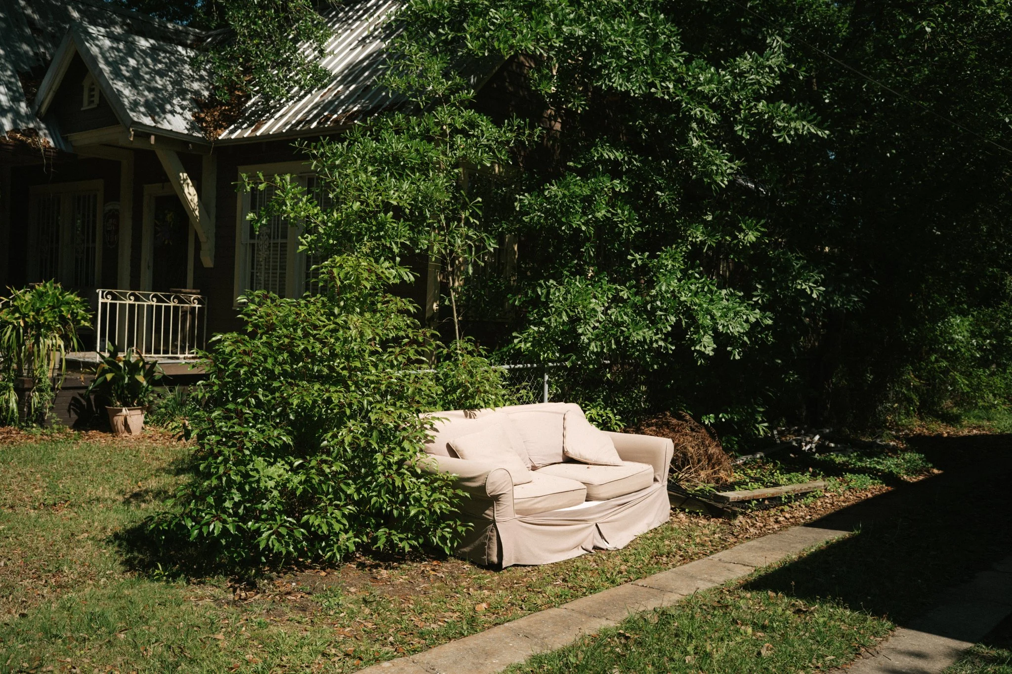 L1009575.jpg