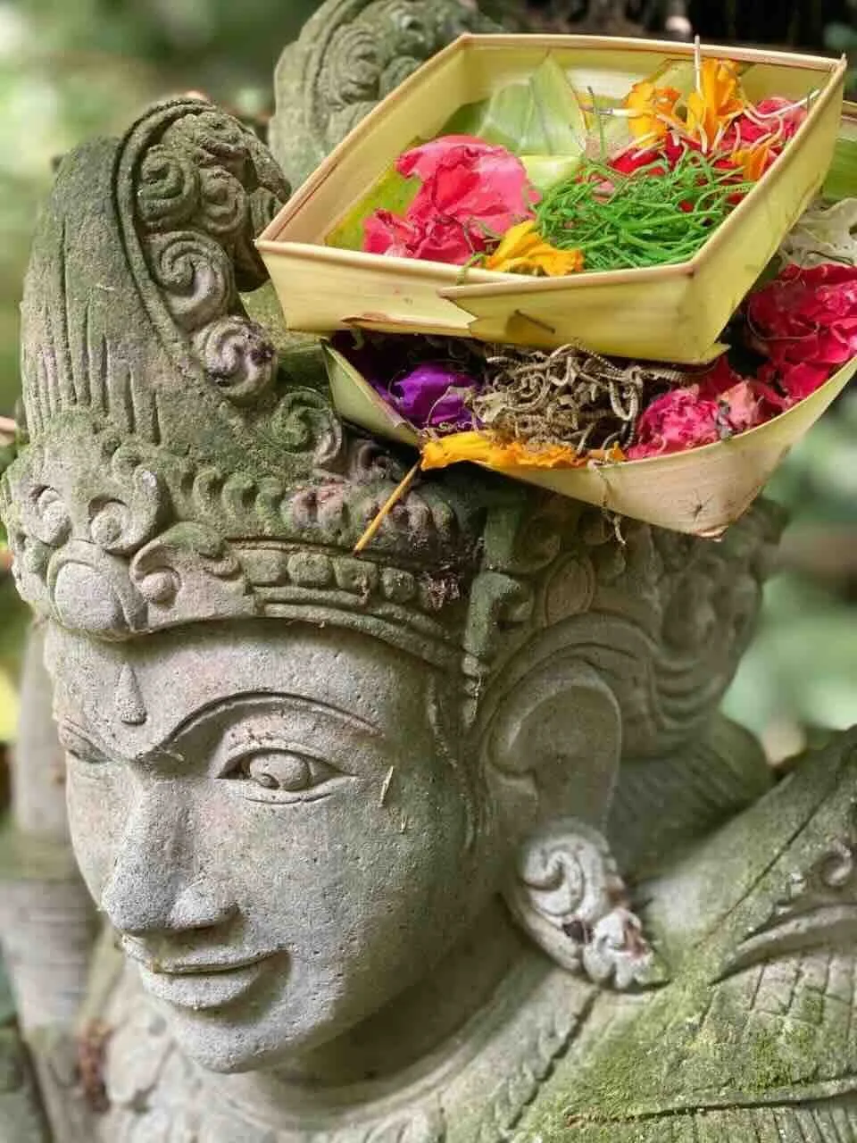 Deine Yoga Ausbildung auf Bali