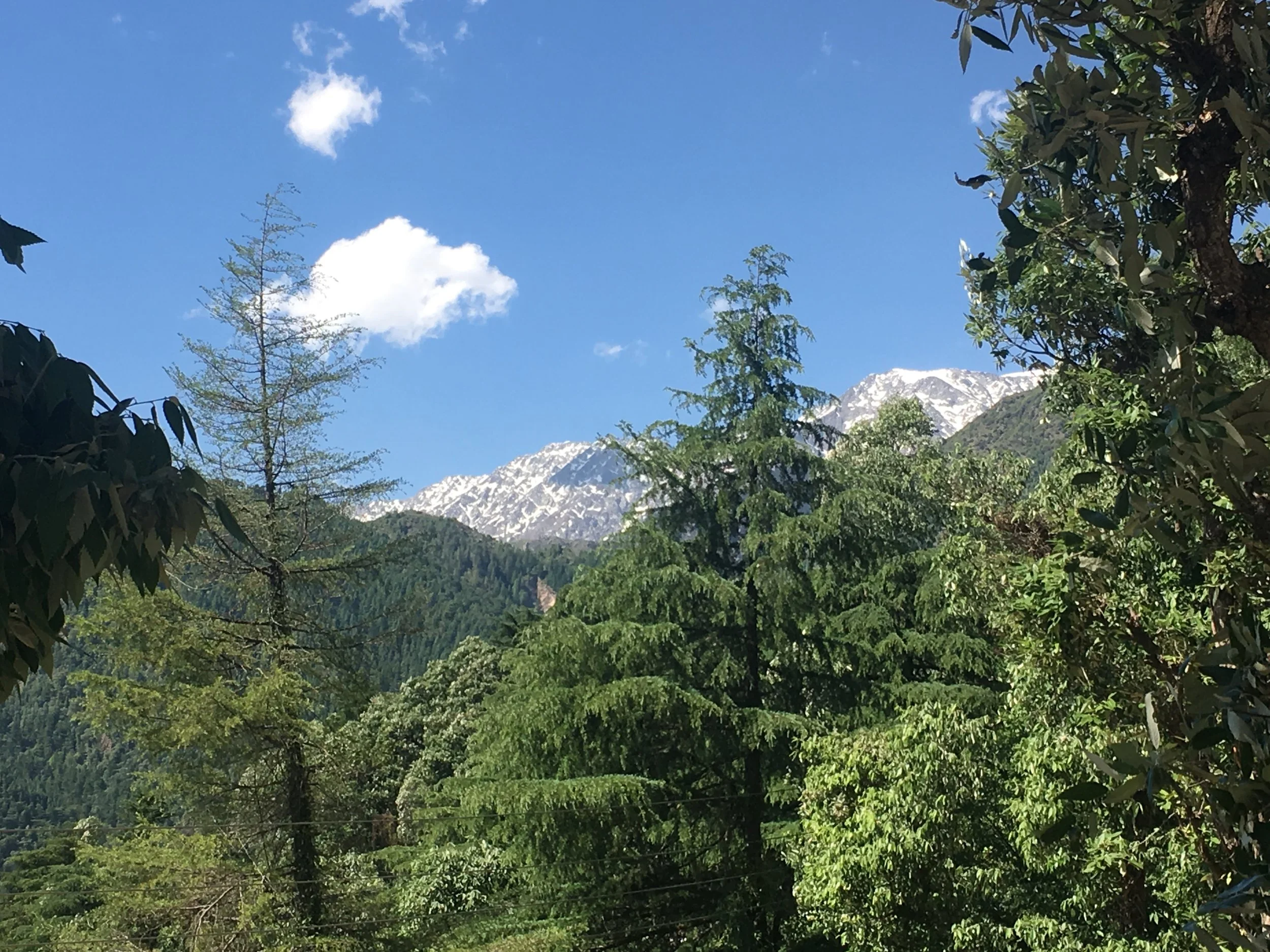 Berglandschaft mit schneebedeckten Gipfeln, grün bewaldeten Hügeln und einem blauen Himmel mit einigen Wolken.