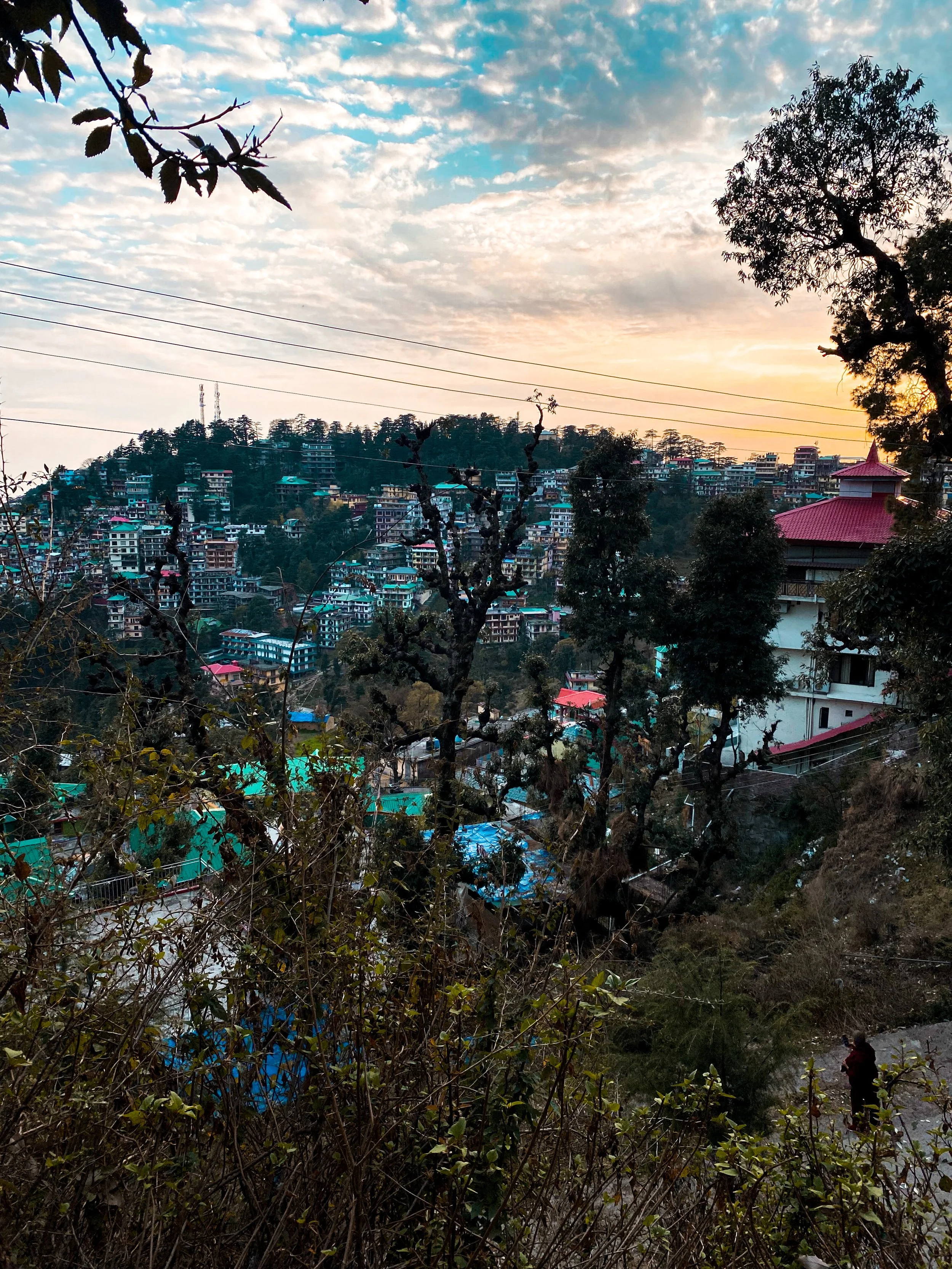 Häuser und Bäume auf einem Hügel bei Sonnenuntergang, mit Wolken am Himmel