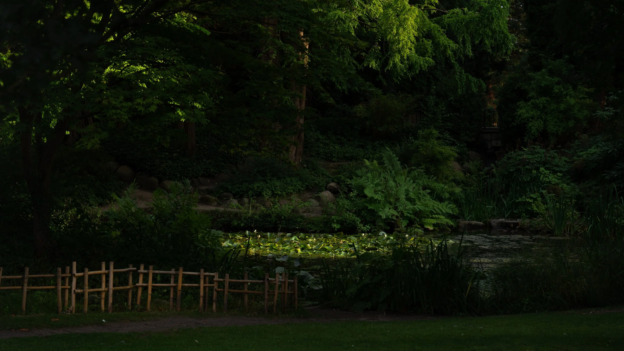 Monet's hidden garden in Copenhagen - Xinyue Jia.JPG