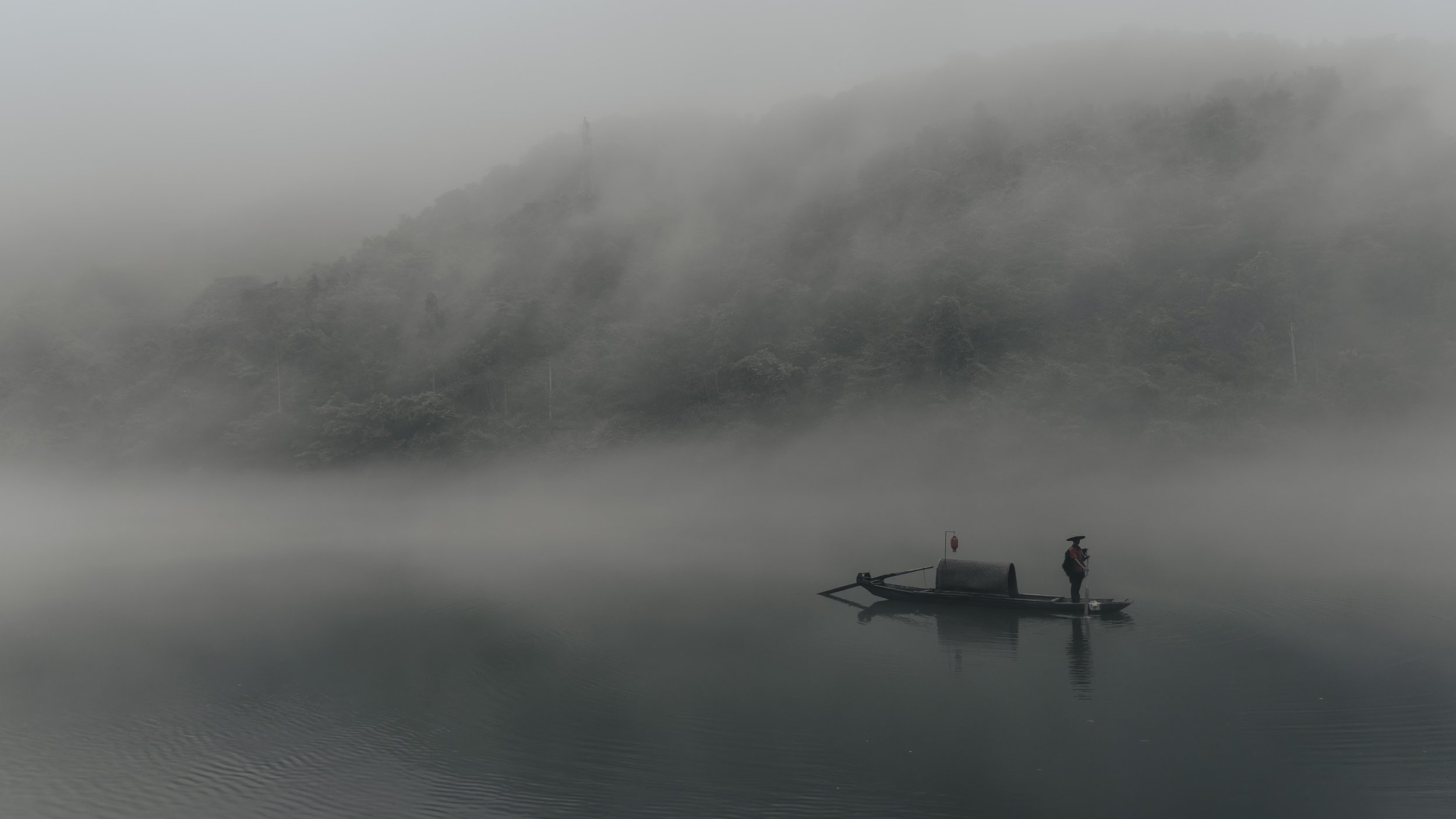 20240627-_DSC0721-DxO_DeepPRIME XD2s_XD.JPG