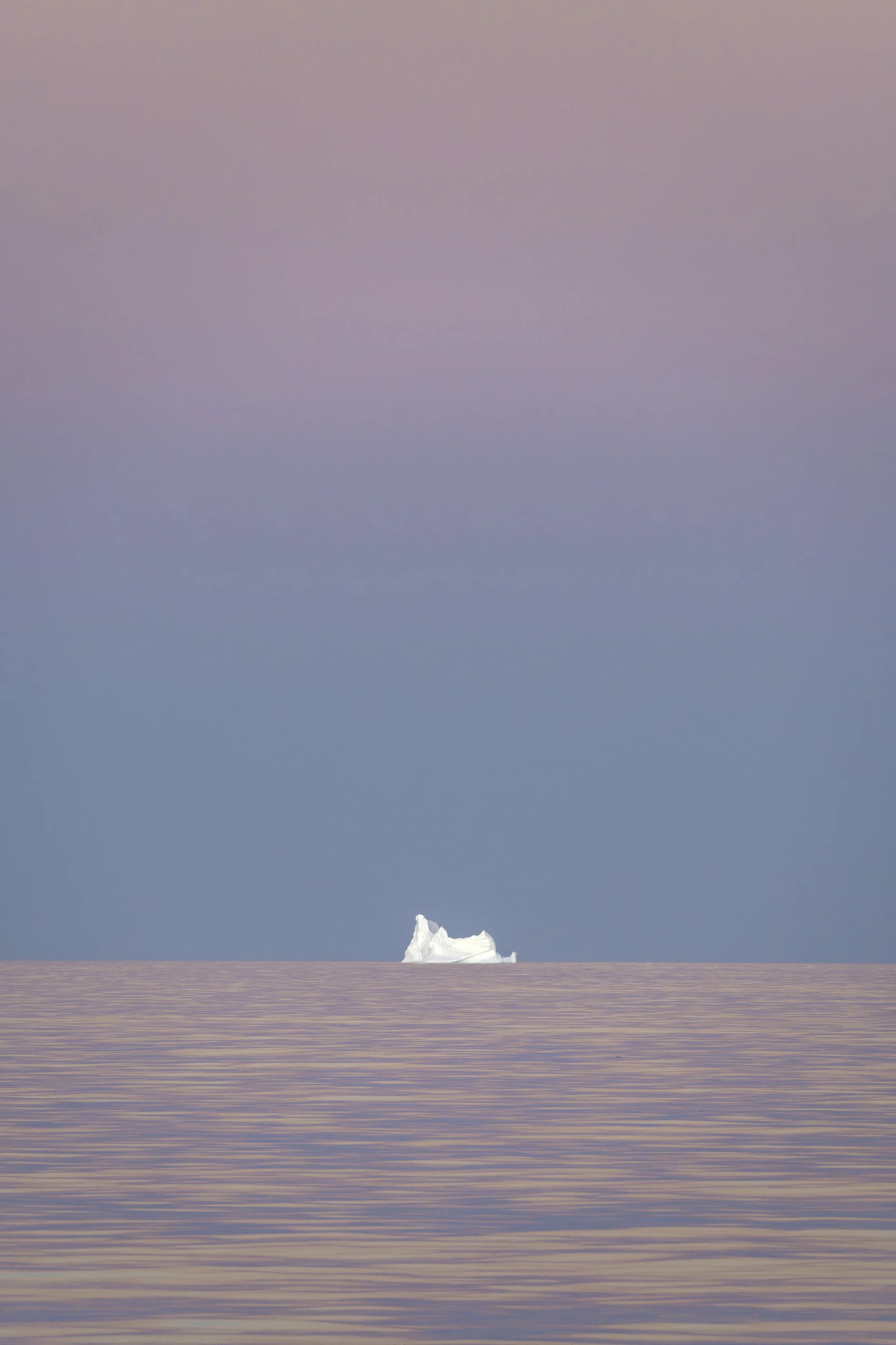 20250920-_DSC1755-DxO_DeepPRIME XD2s_XD.JPG