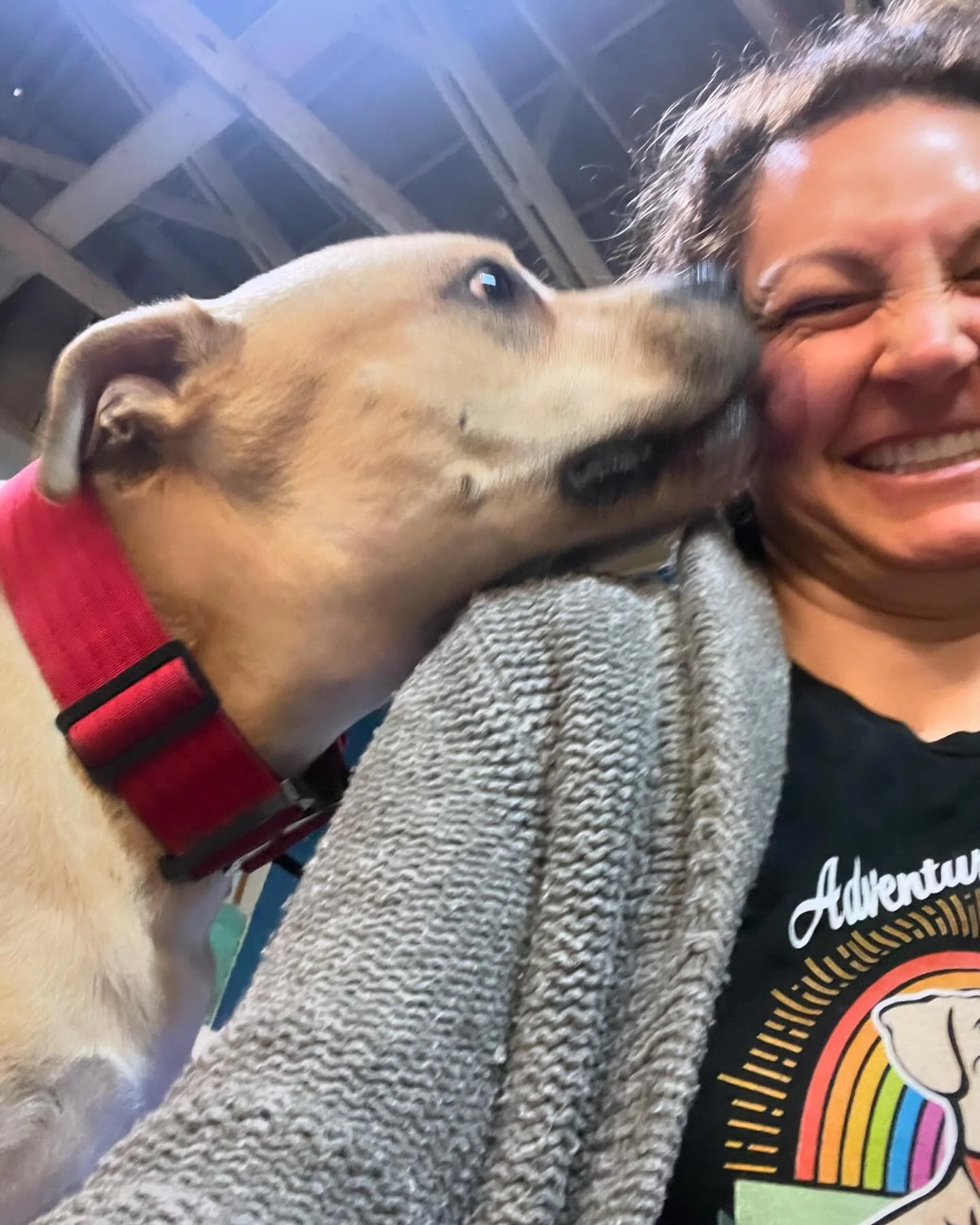 Adventure Awaits Dog Daycare