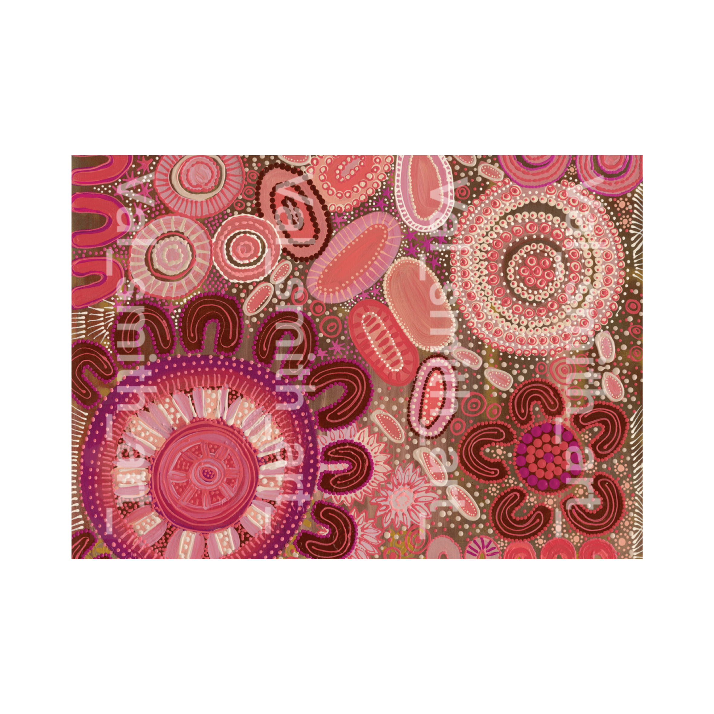 Through the eyes of Jarjum