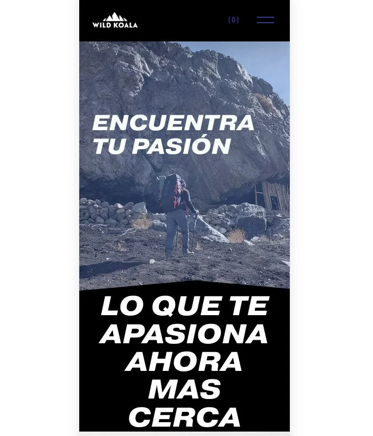 Finalmente ha llegado, el Koala tiene p&aacute;gina web, 
Esto es el inicio y estamos reci&eacute;n aprendiendo a manejarla por lo tanto est&aacute; en su versi&oacute;n m&aacute;s simplificada posible, no est&aacute;n todas las funciones de compras 