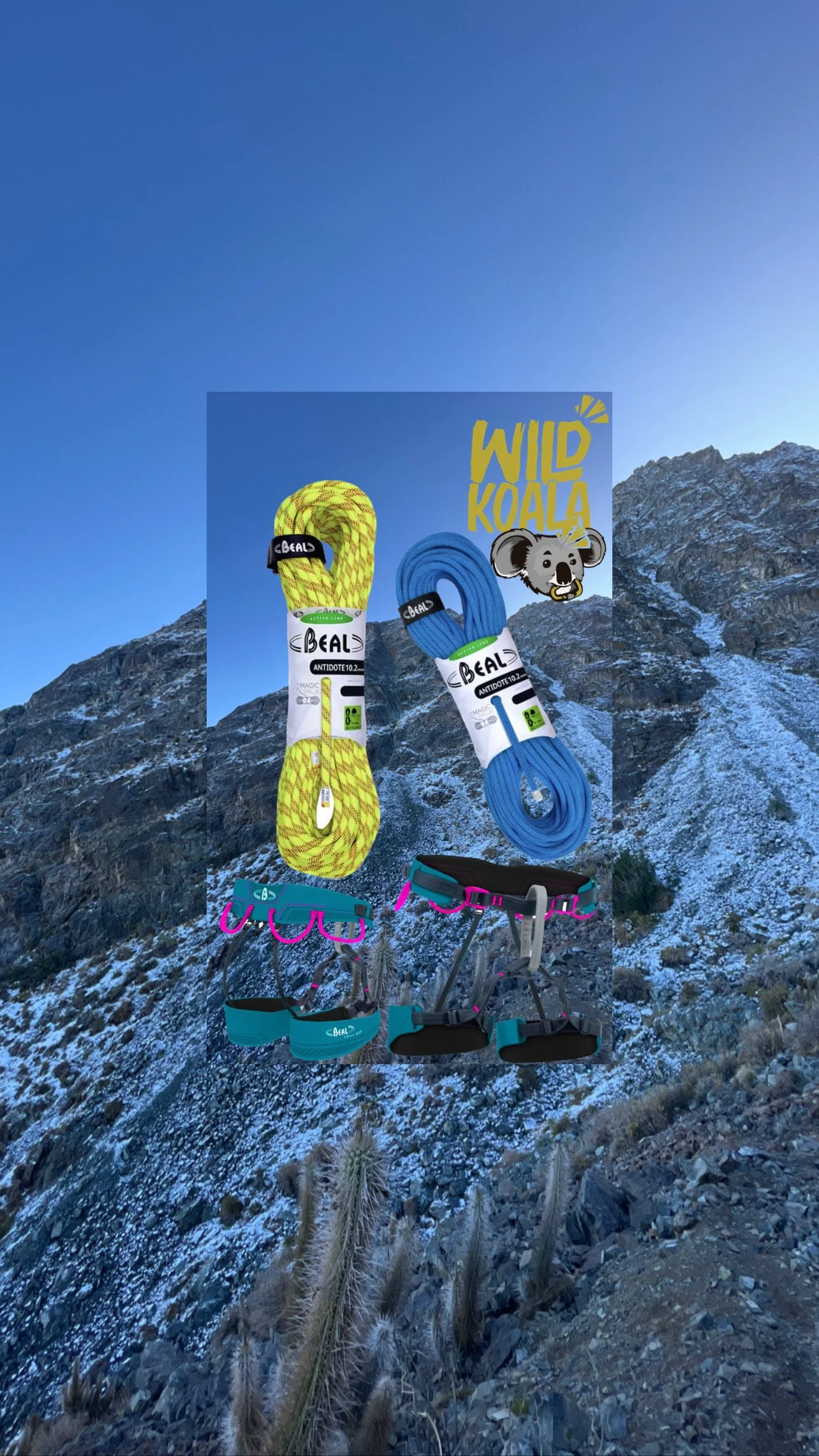 A digital collage of climbing equipment, including two length of ropes in yellow and blue, and two harnesses, displayed against a mountain landscape with a clear blue sky and snow-capped peaks.