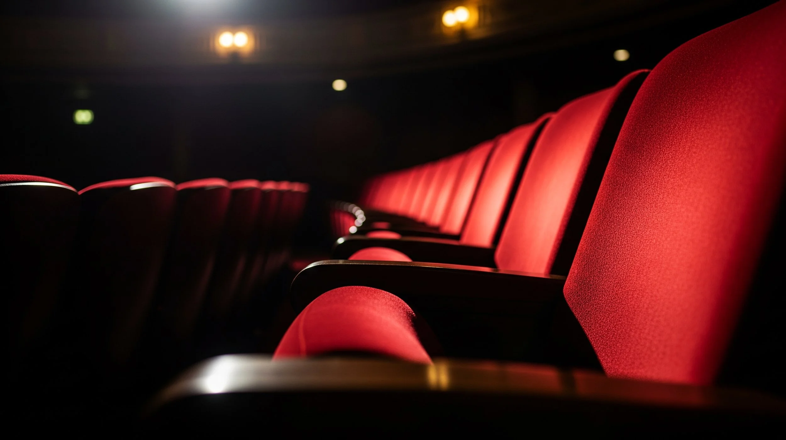 Theater seats for audience members