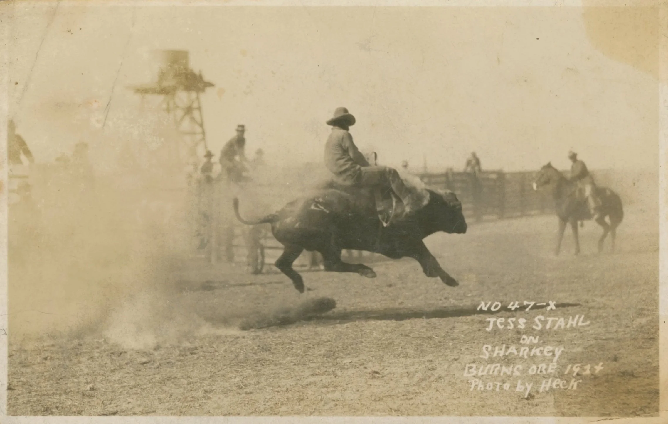 ★ c. 1924, Jesse Stahl riding a bull, with the enscription, "NO 47-X JESS STAHL ON SHARKEY BURNS ORE 1924." Collection of the Smithsonian National Museum of African American History and Culture. Object ID 2014.37.36.14. 
