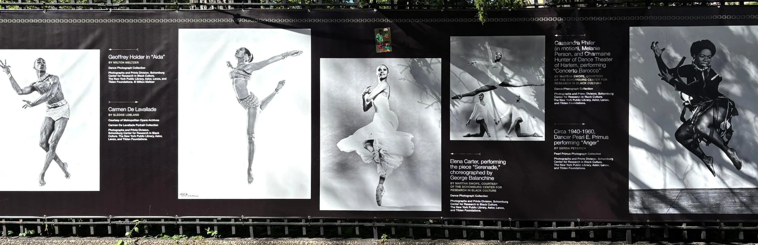 Photoville 2026 - POSE installation view 2.jpg