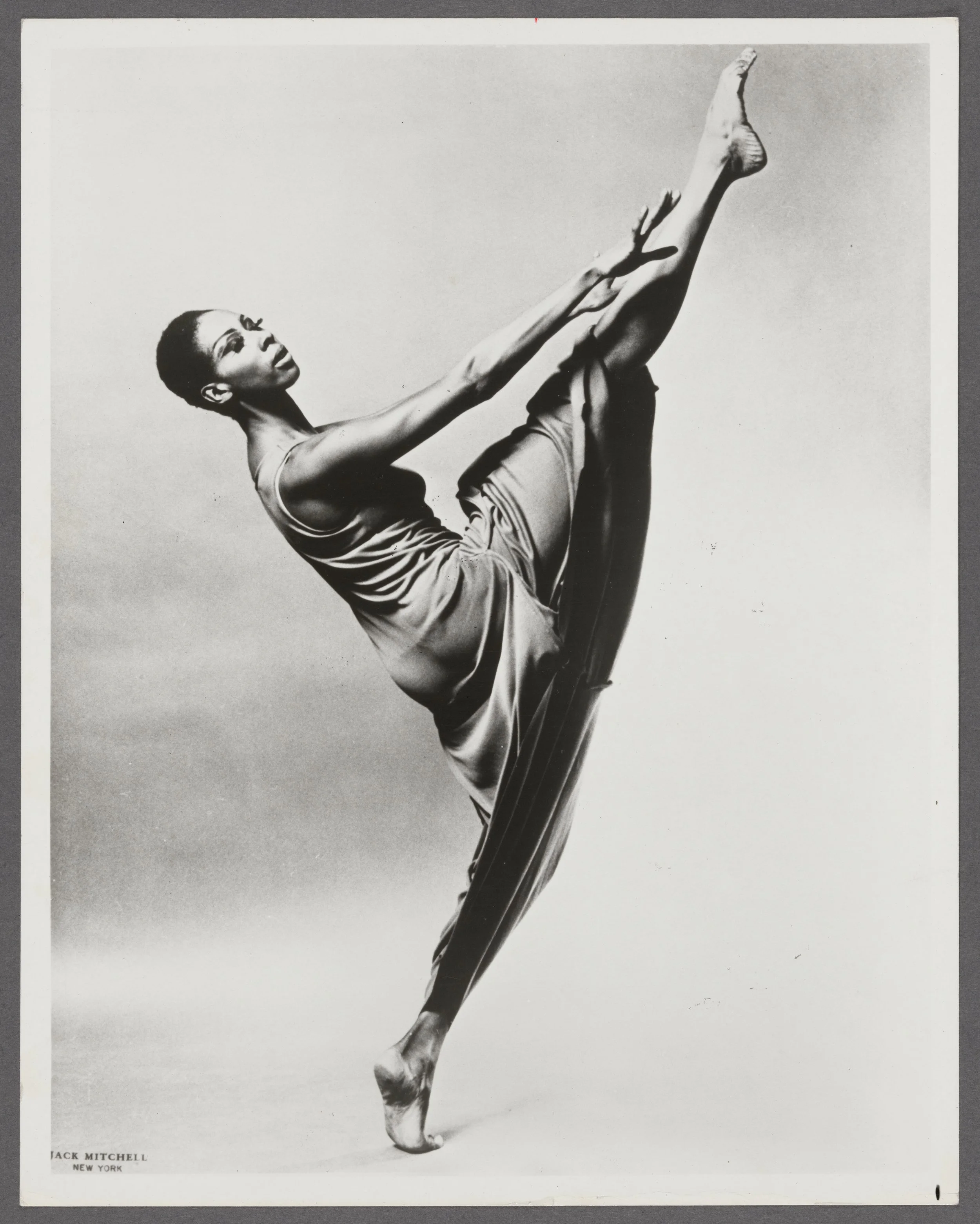 Judith Jamison.  

By Jack Mitchell
Joe Nash Black Dance Photograph Collection
Photographs and Prints Division. Schomburg Center for Research in Black Culture. The New York Public Library, Astor, Lenox, and Tilden Foundations.

Photograph by Jack Mit