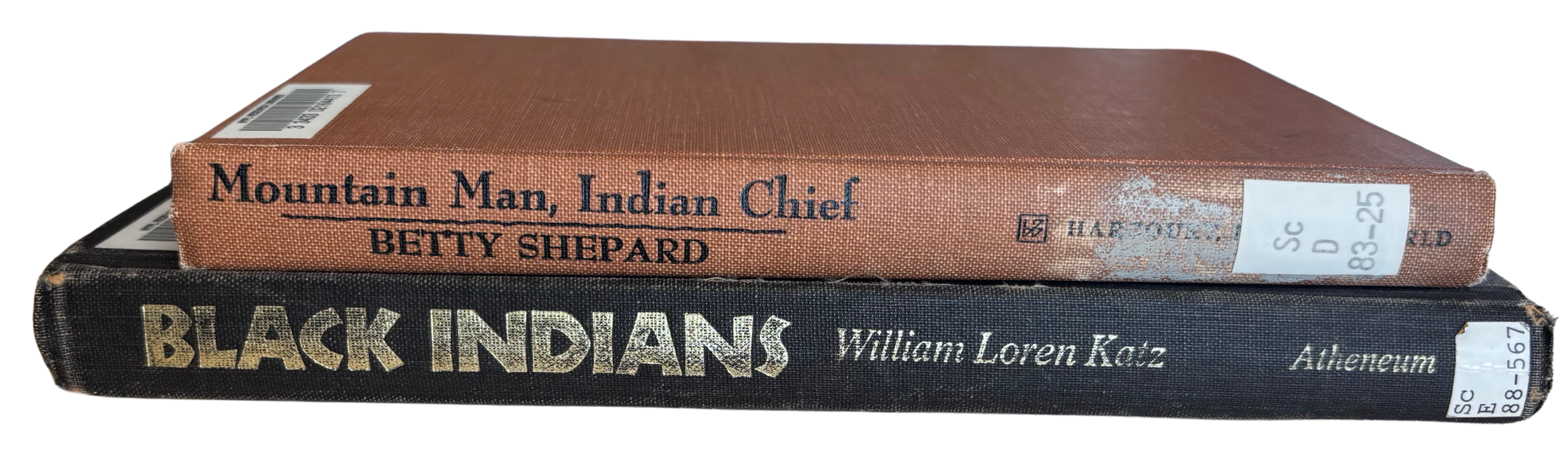 This is a .png image of two books that are preserved by the Schomburg Center for Research in Black Culture, "Mountain Man, Indian Chief" and "Black Indians"