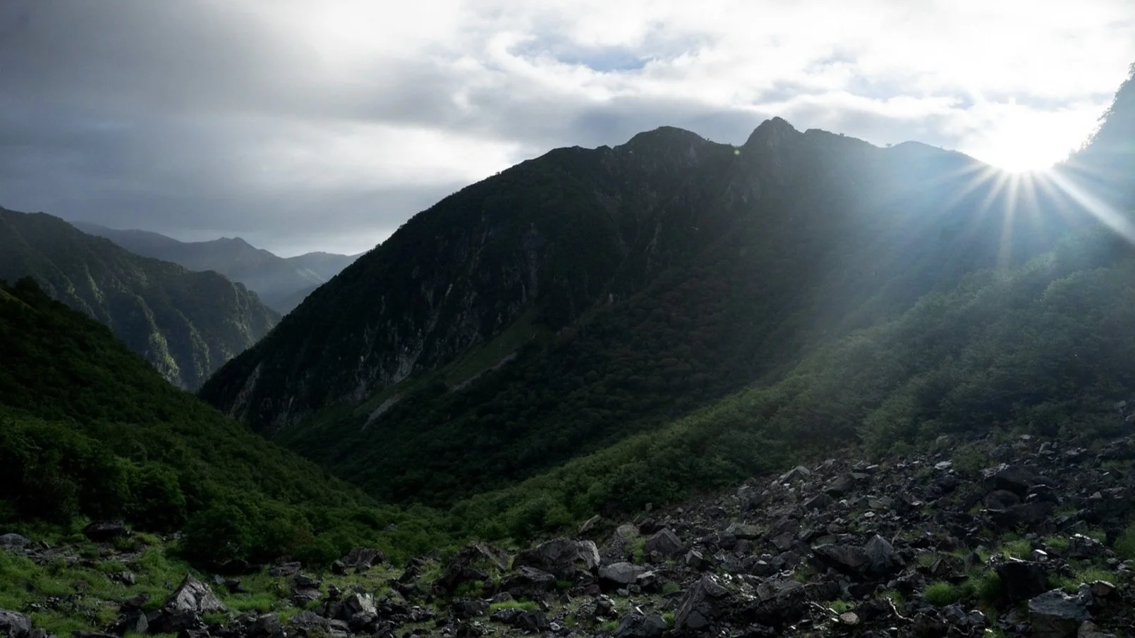 DSC08594.jpg