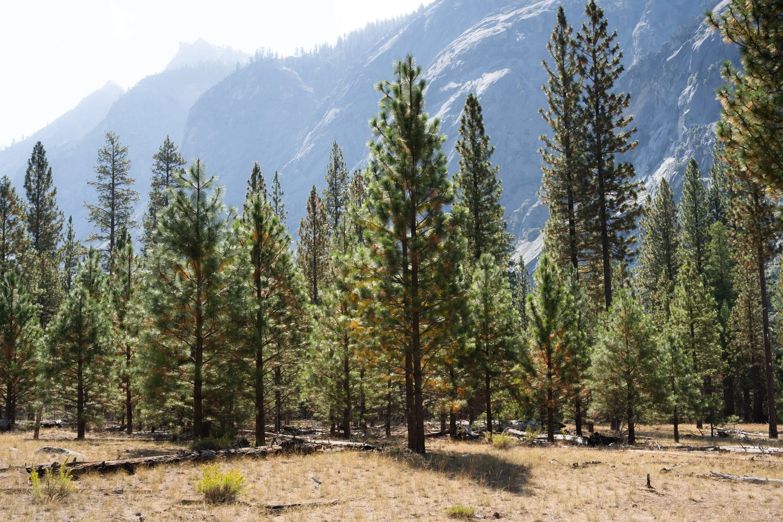 Kings Canyon, September 2025