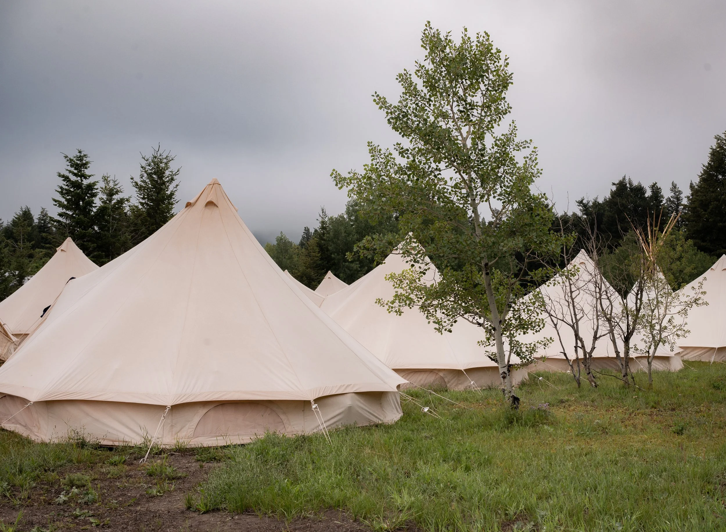 Festival Grounds