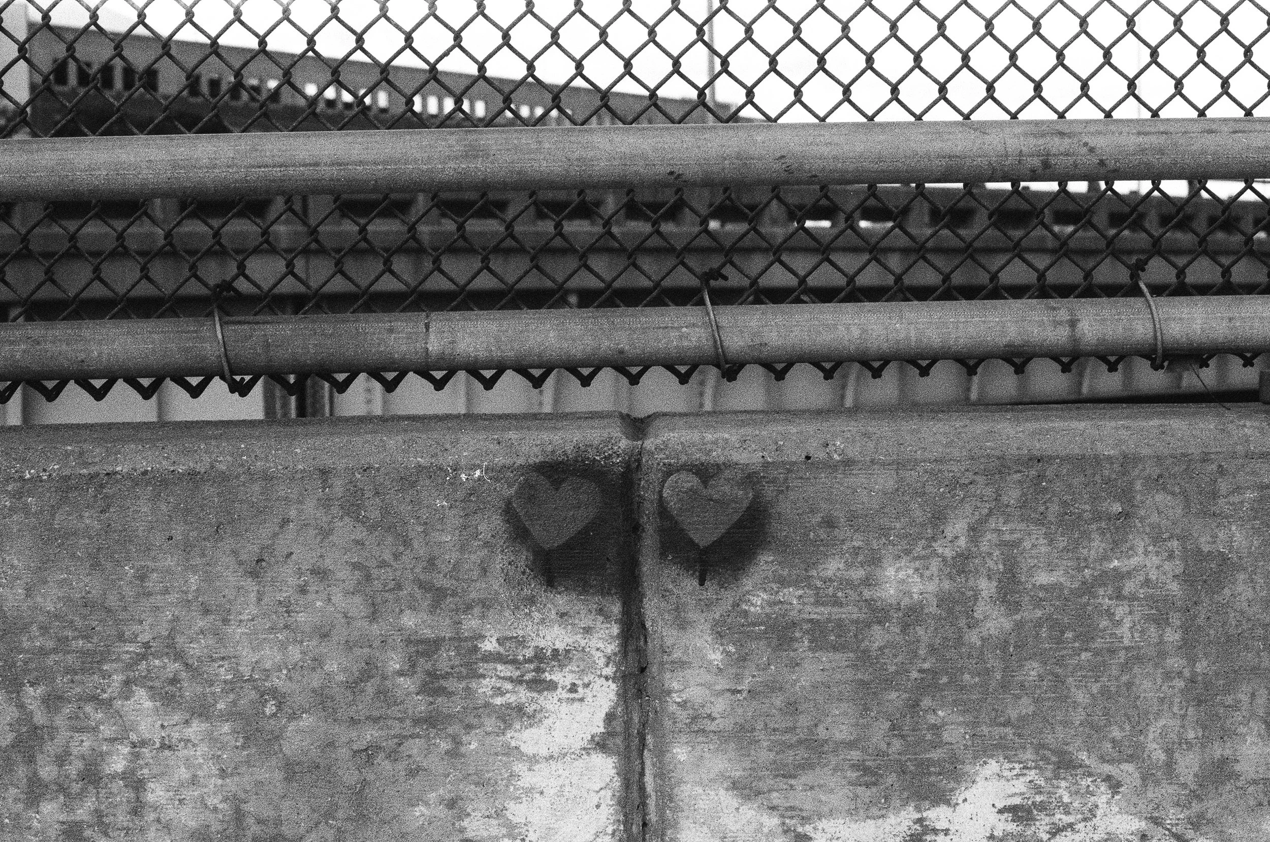 Detroit, October 2025 (Nikon FM)