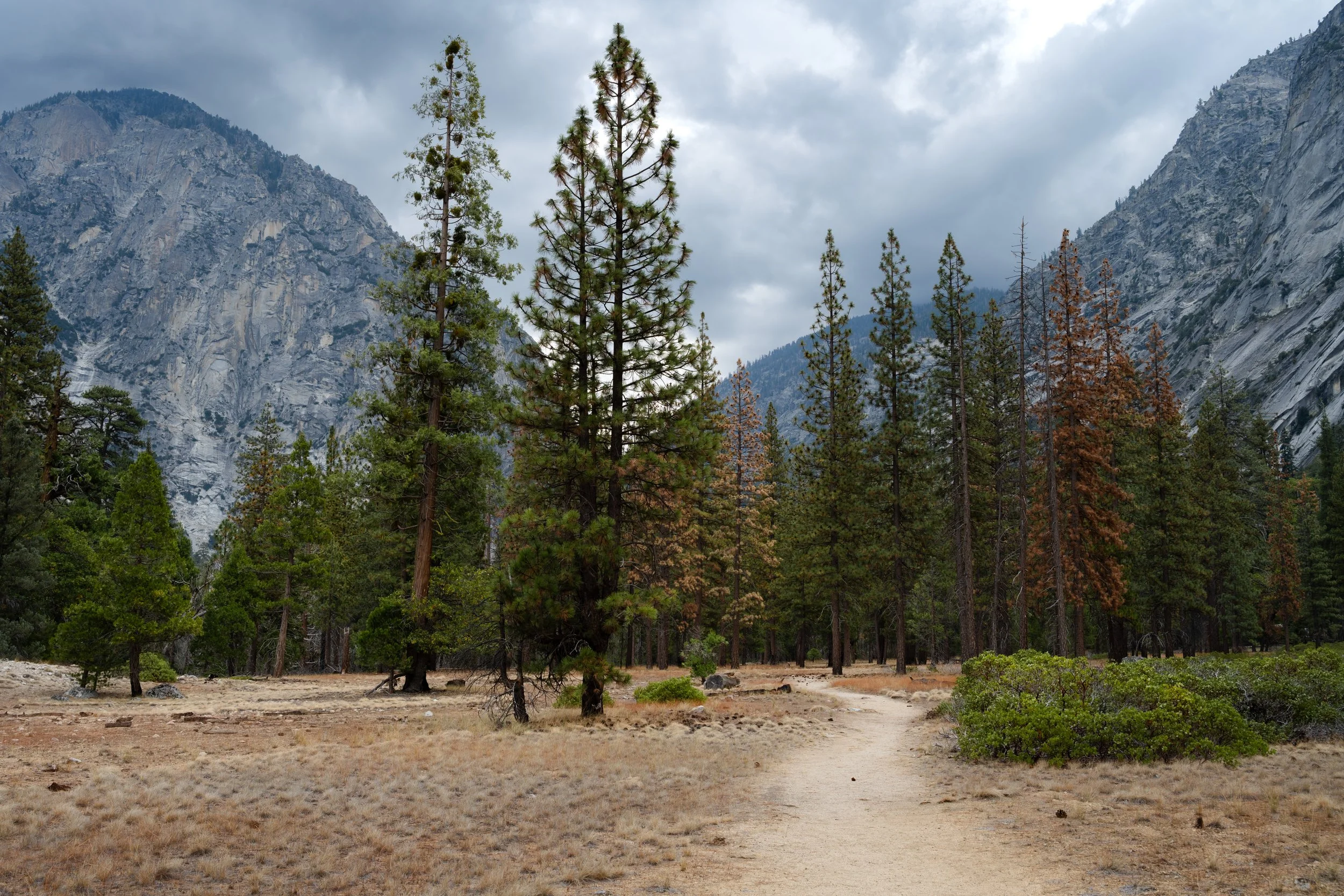 Kings Canyon, September 2025