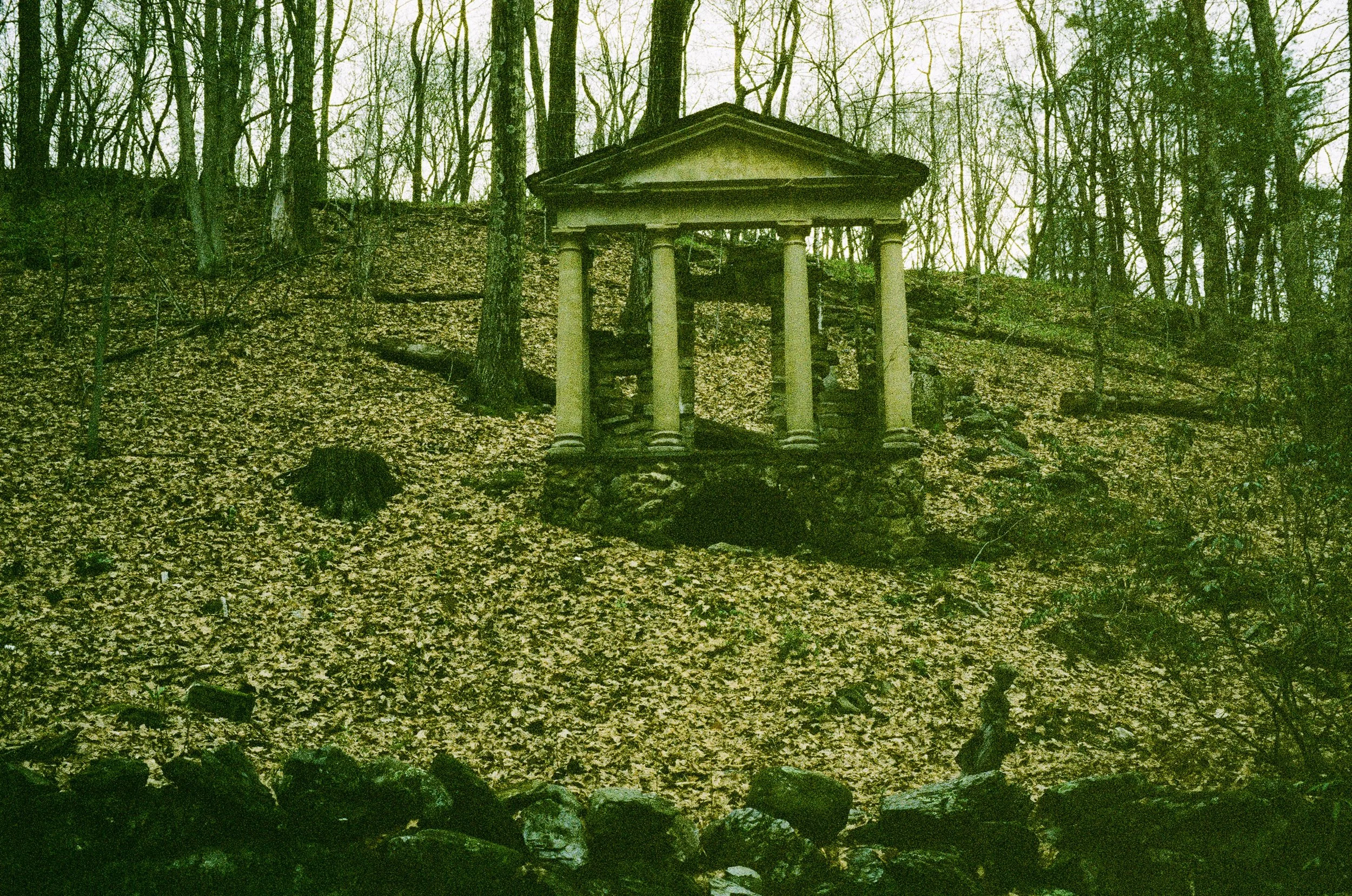 New England Botanic Garden, May 2026 (Leica M6)