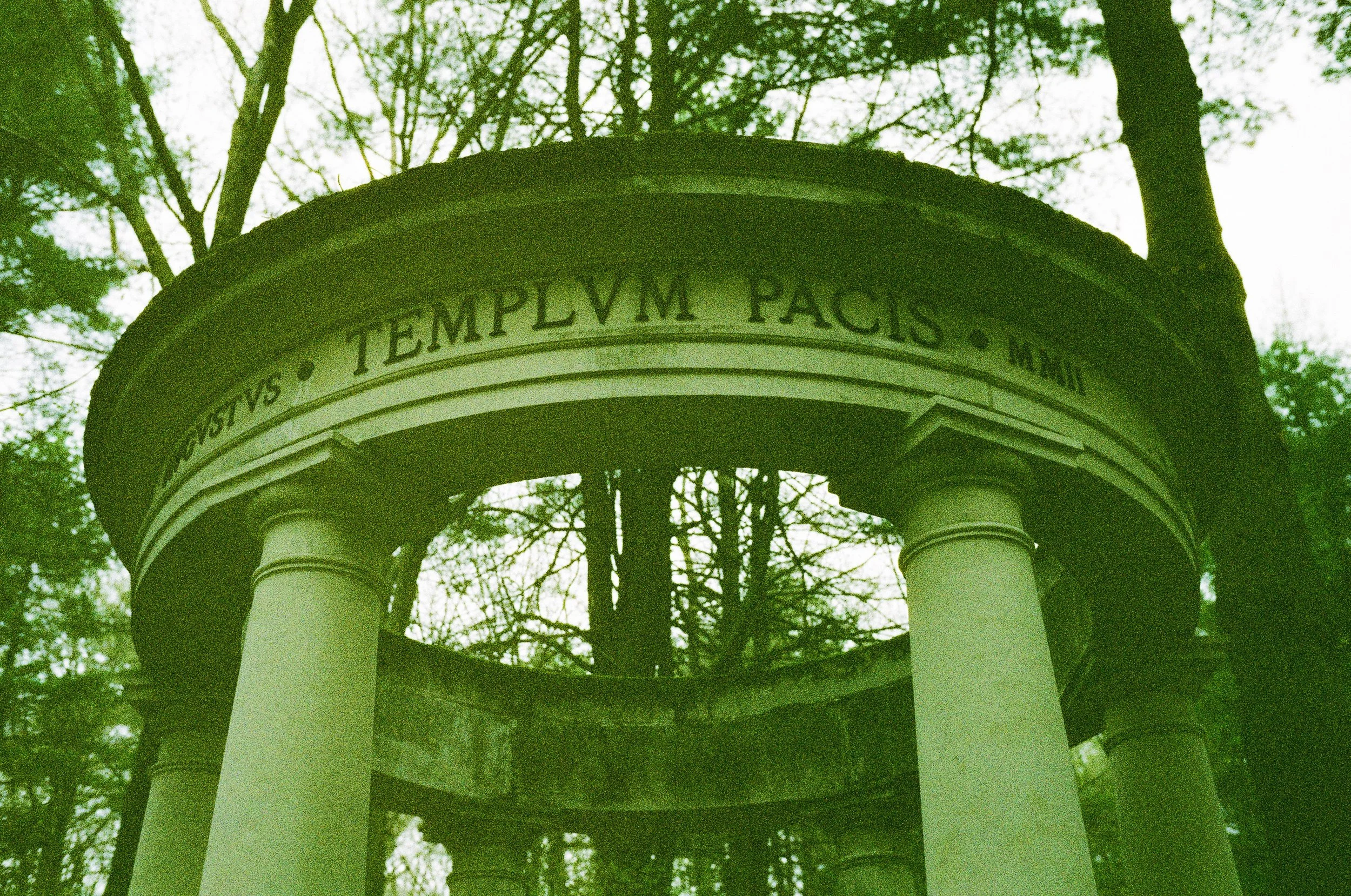 New England Botanic Garden, May 2026 (Leica M6)