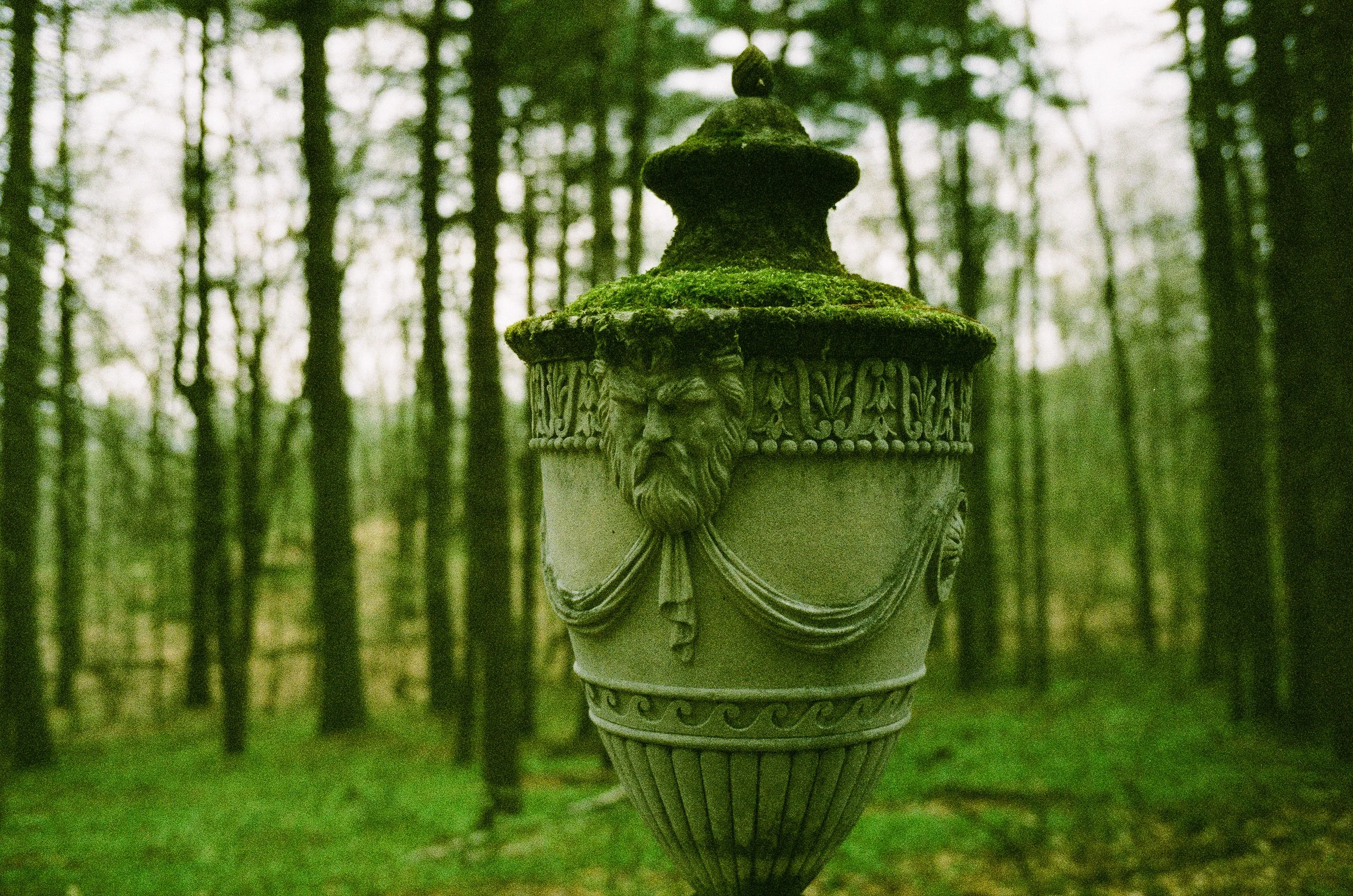 New England Botanic Garden, May 2026 (Leica M6)