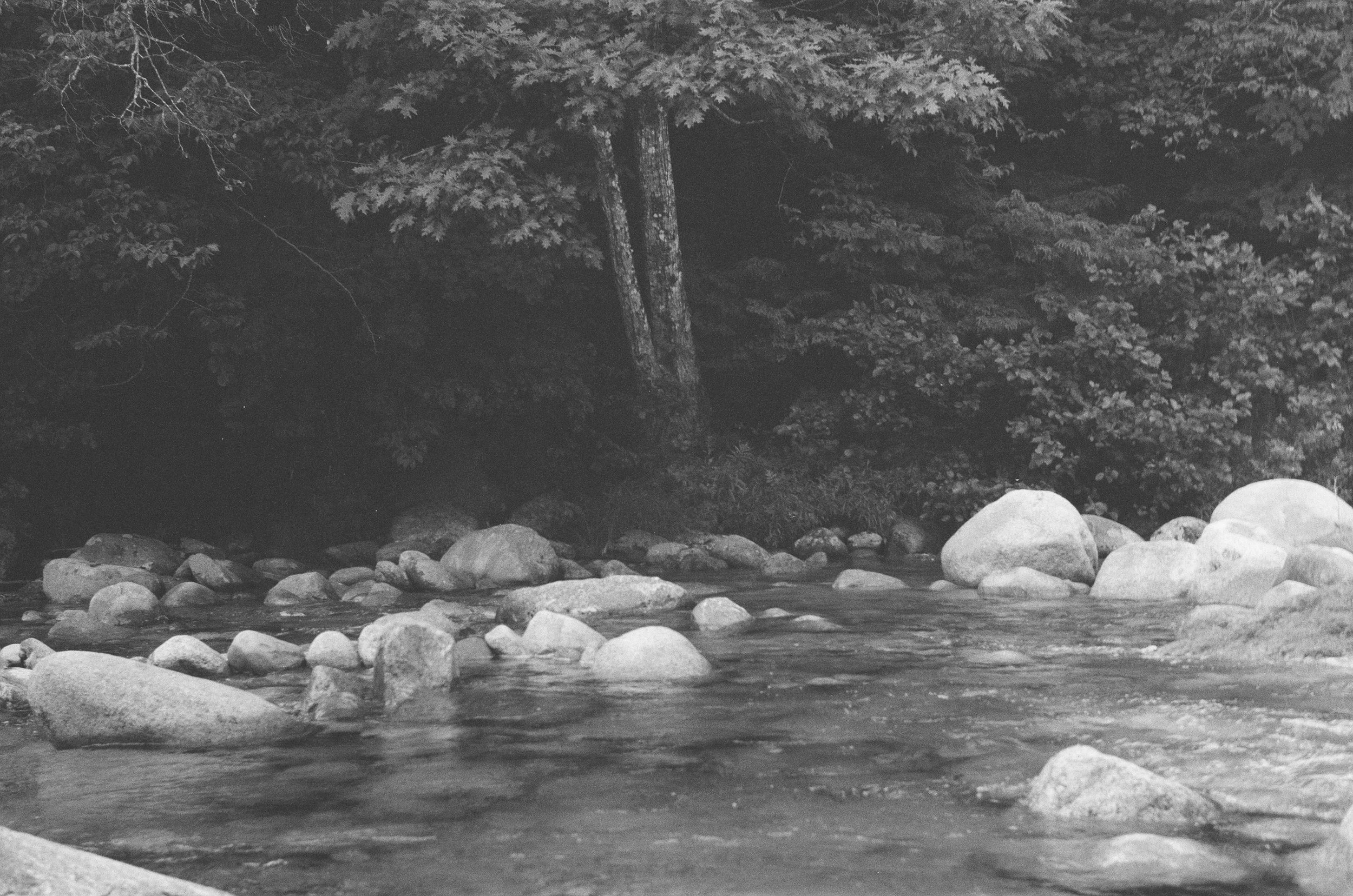 Waterville Valley, August 2025 (Leica IIIA)