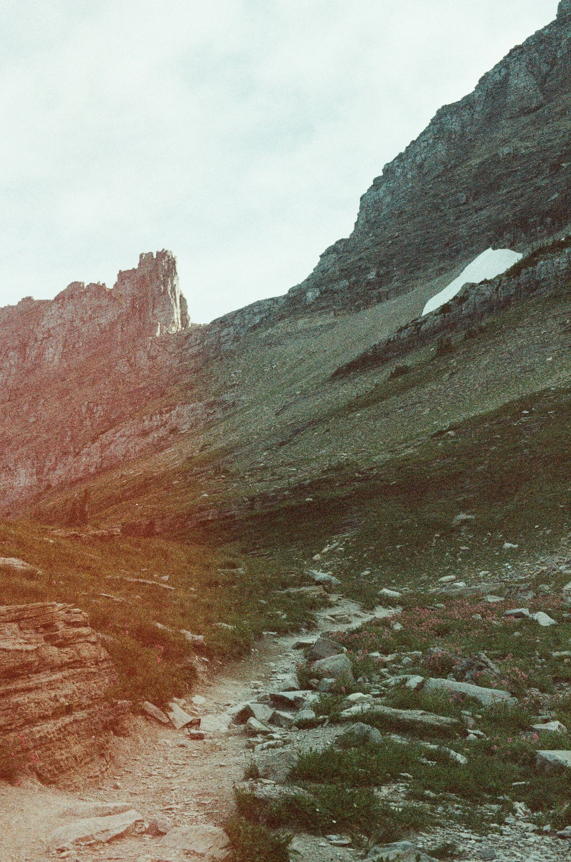 Glacier National Park, July 2025 (Nikon FM)