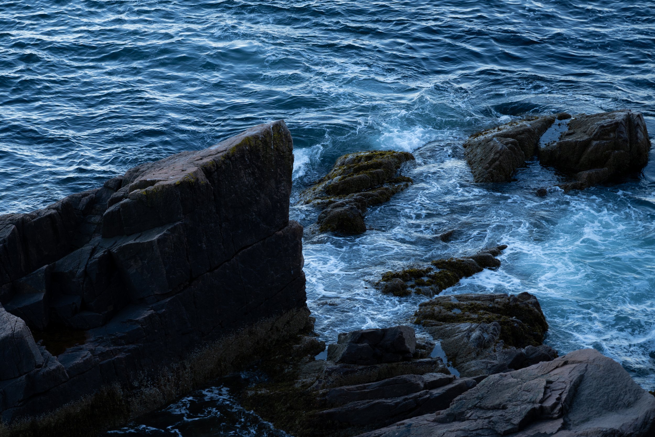 Acadia, June 2026
