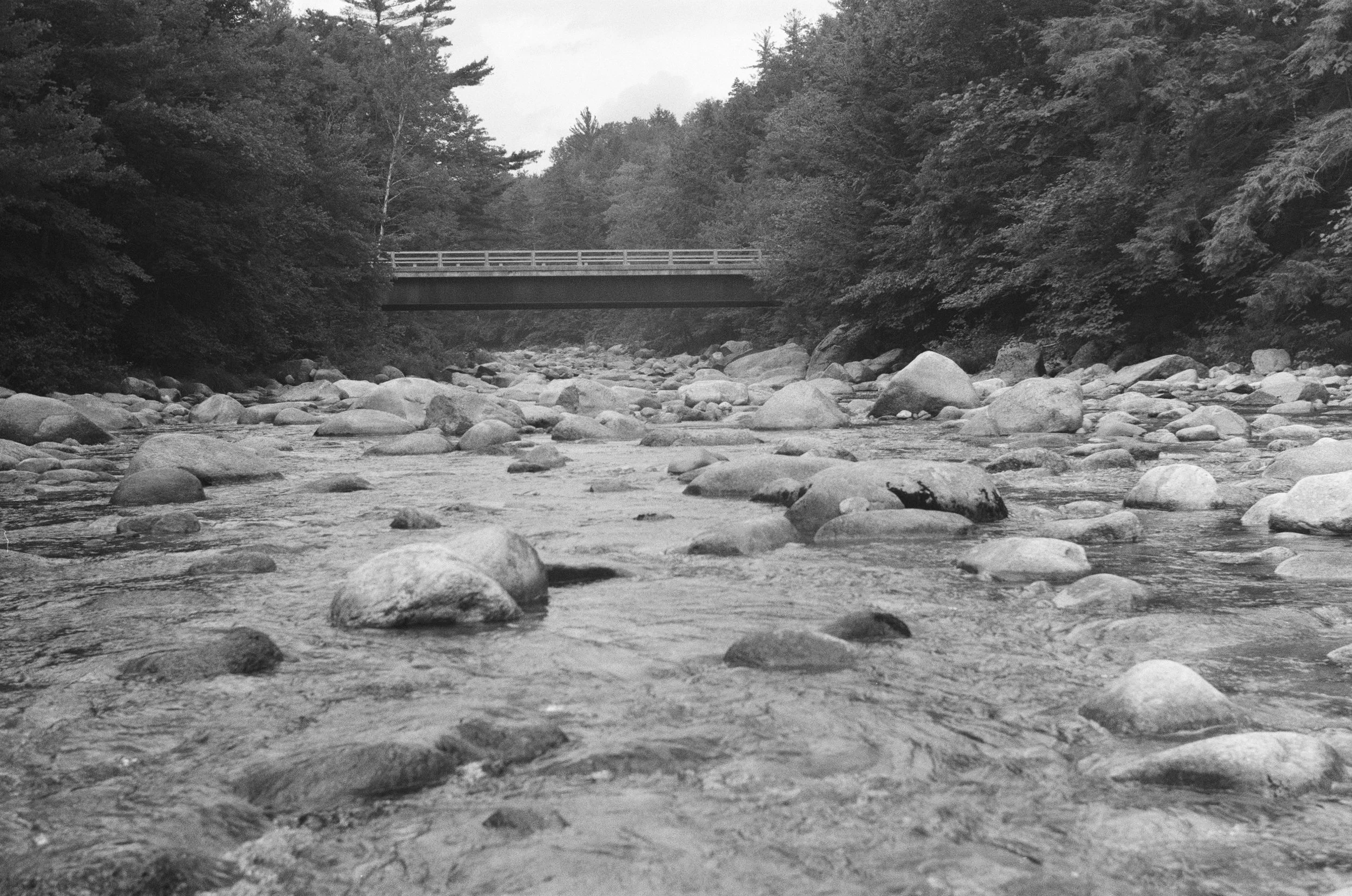 Waterville Valley, August 2025 (Leica IIIA)
