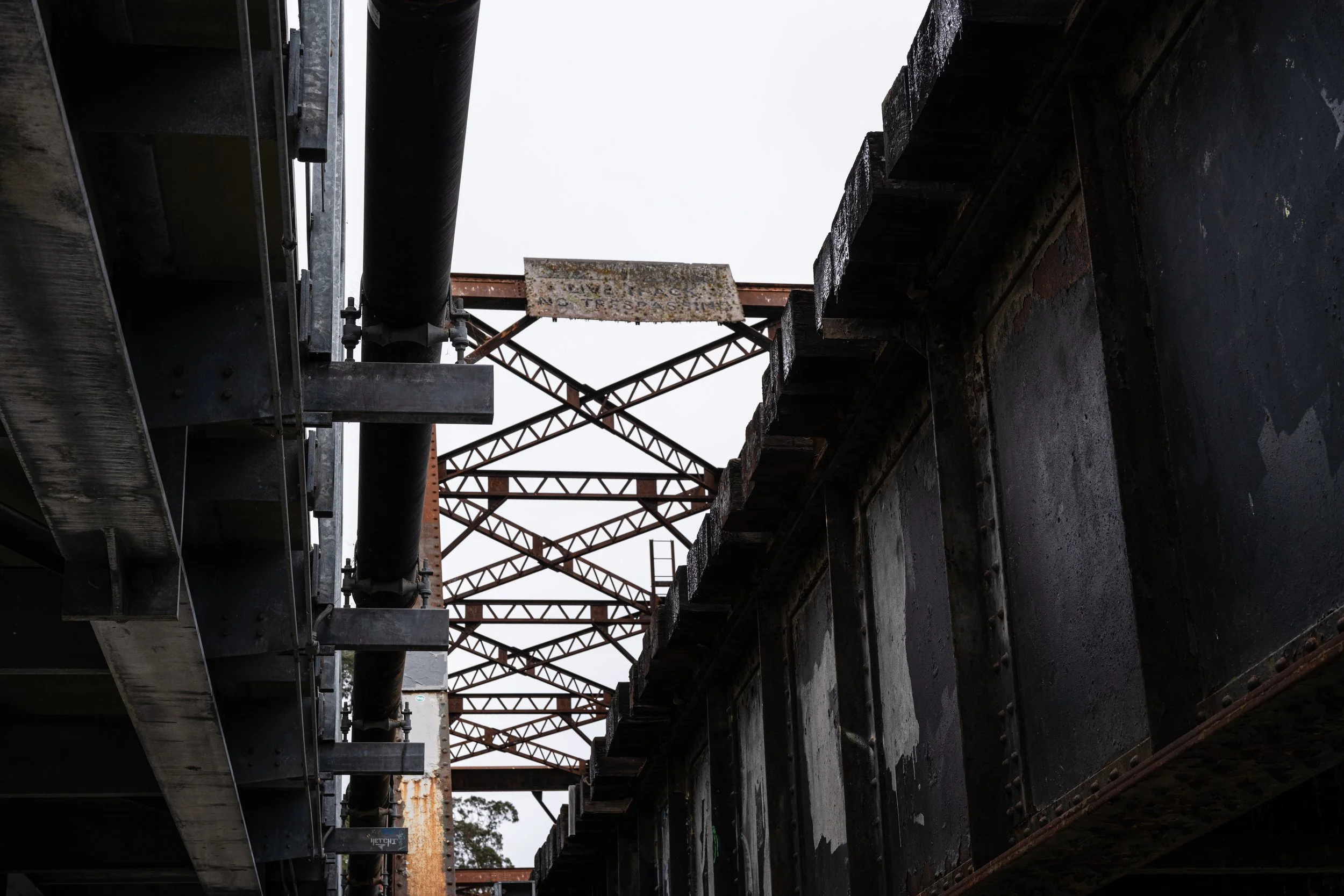 Santa Cruz, California, September 2025