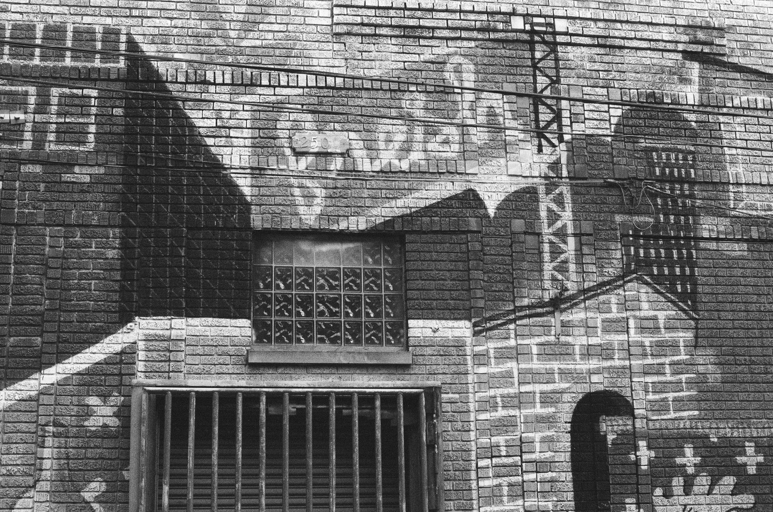 Detroit, October 2025 (Nikon FM)