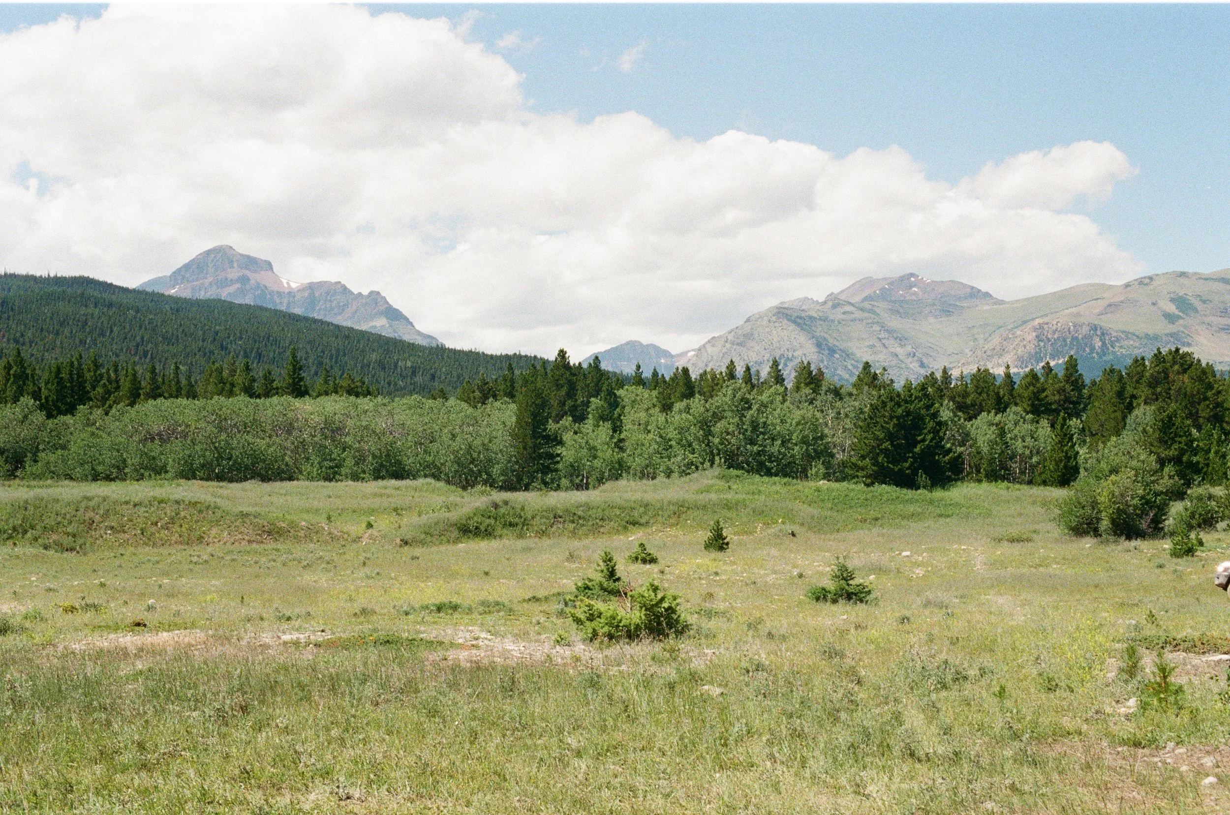 Fire In The Mountains, July 2025 (Nikon FM)