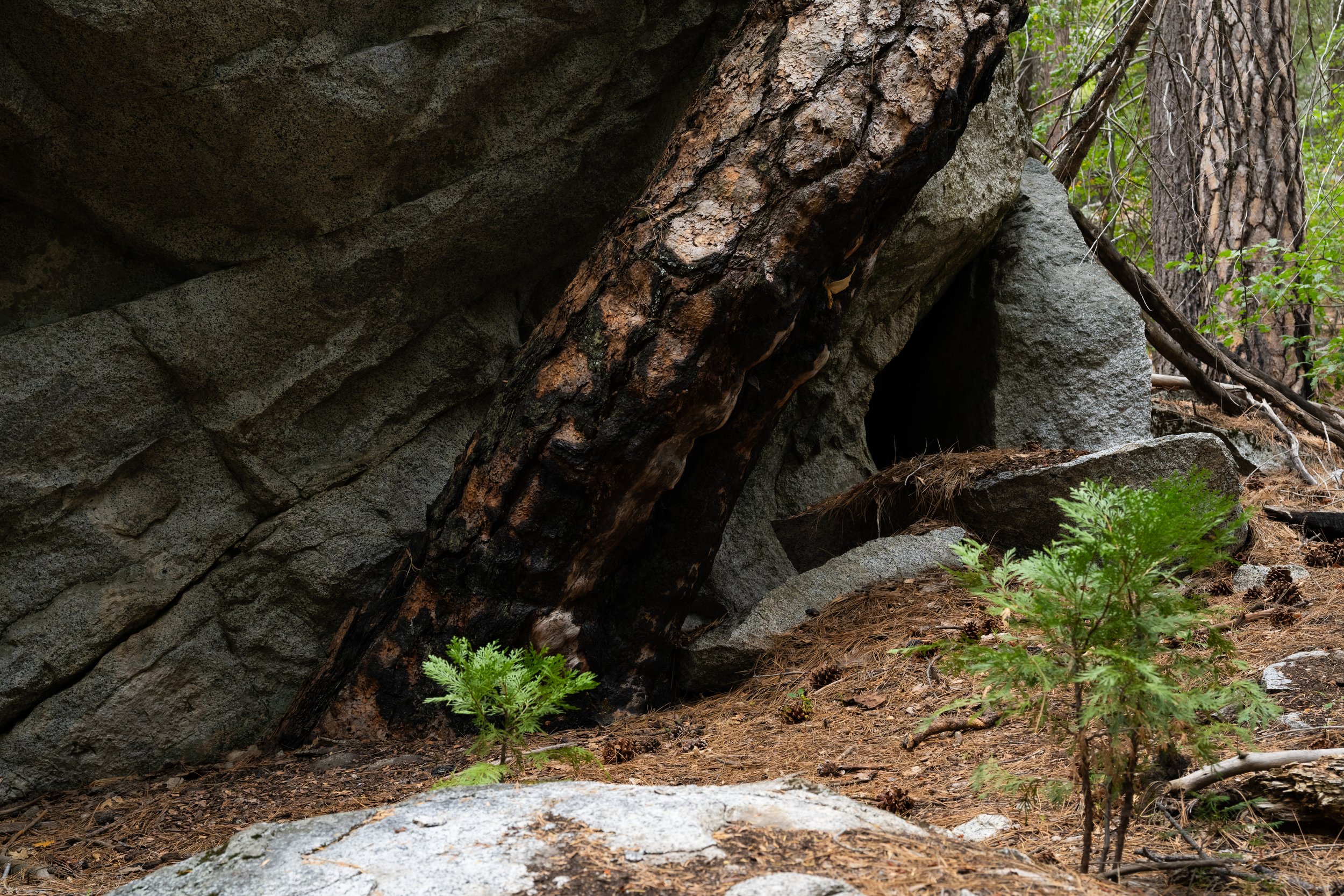 Kings Canyon, September 2025