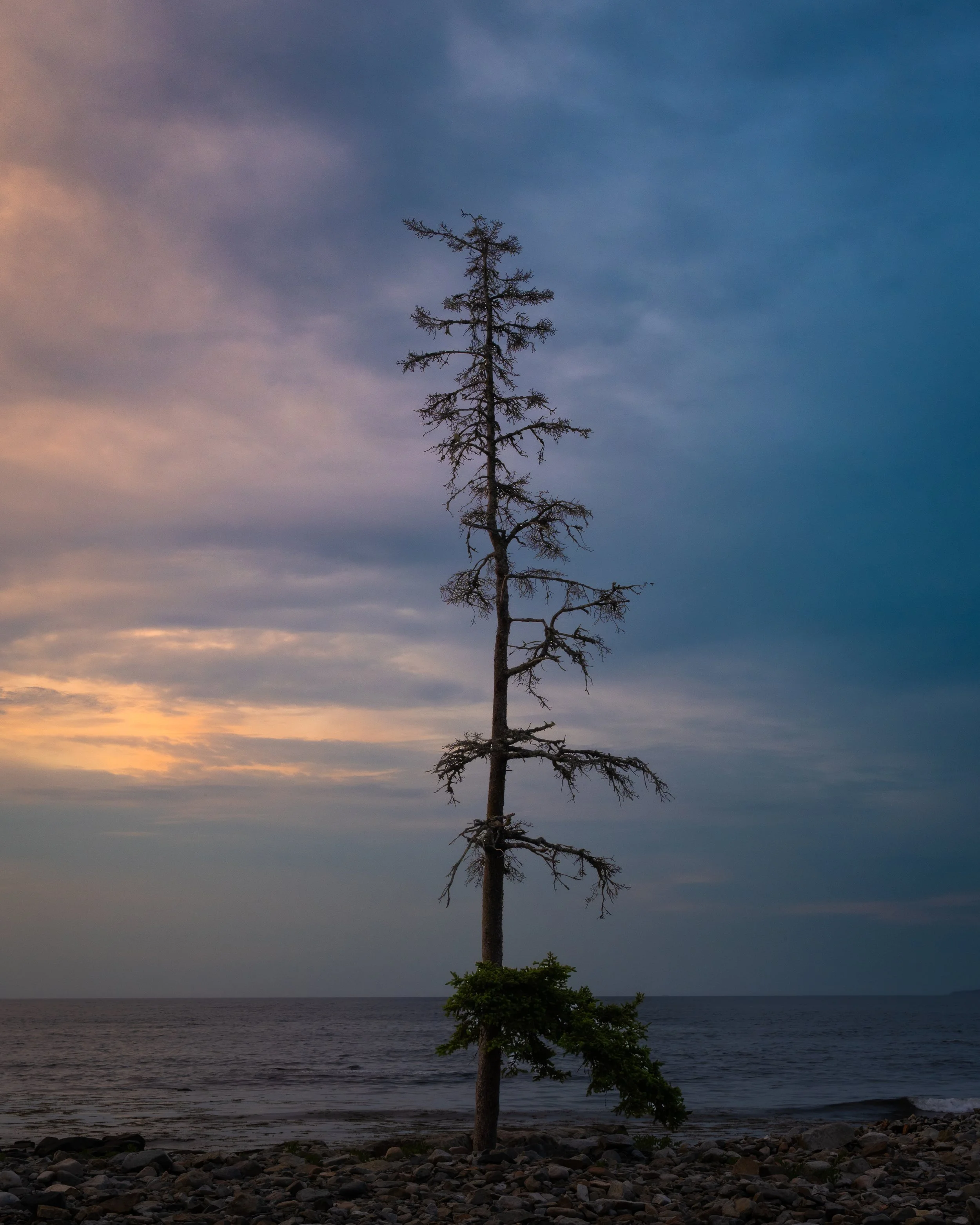 Acadia, June 2026