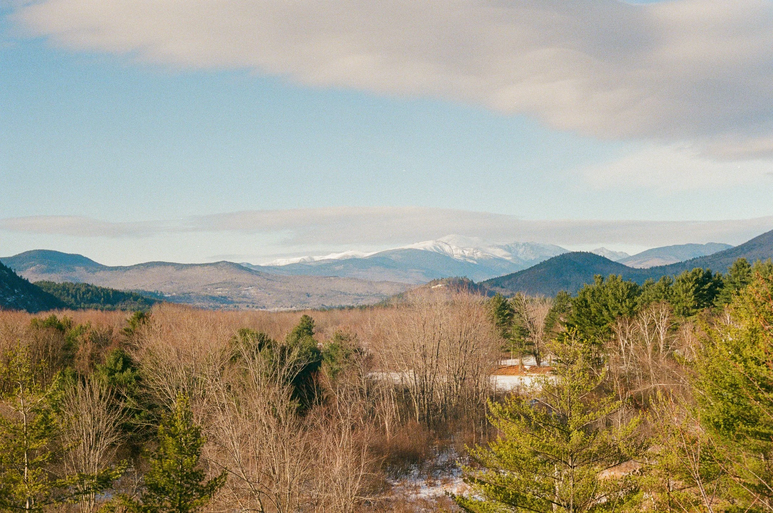 White Mountains, December 2025 (Leica IIIA)
