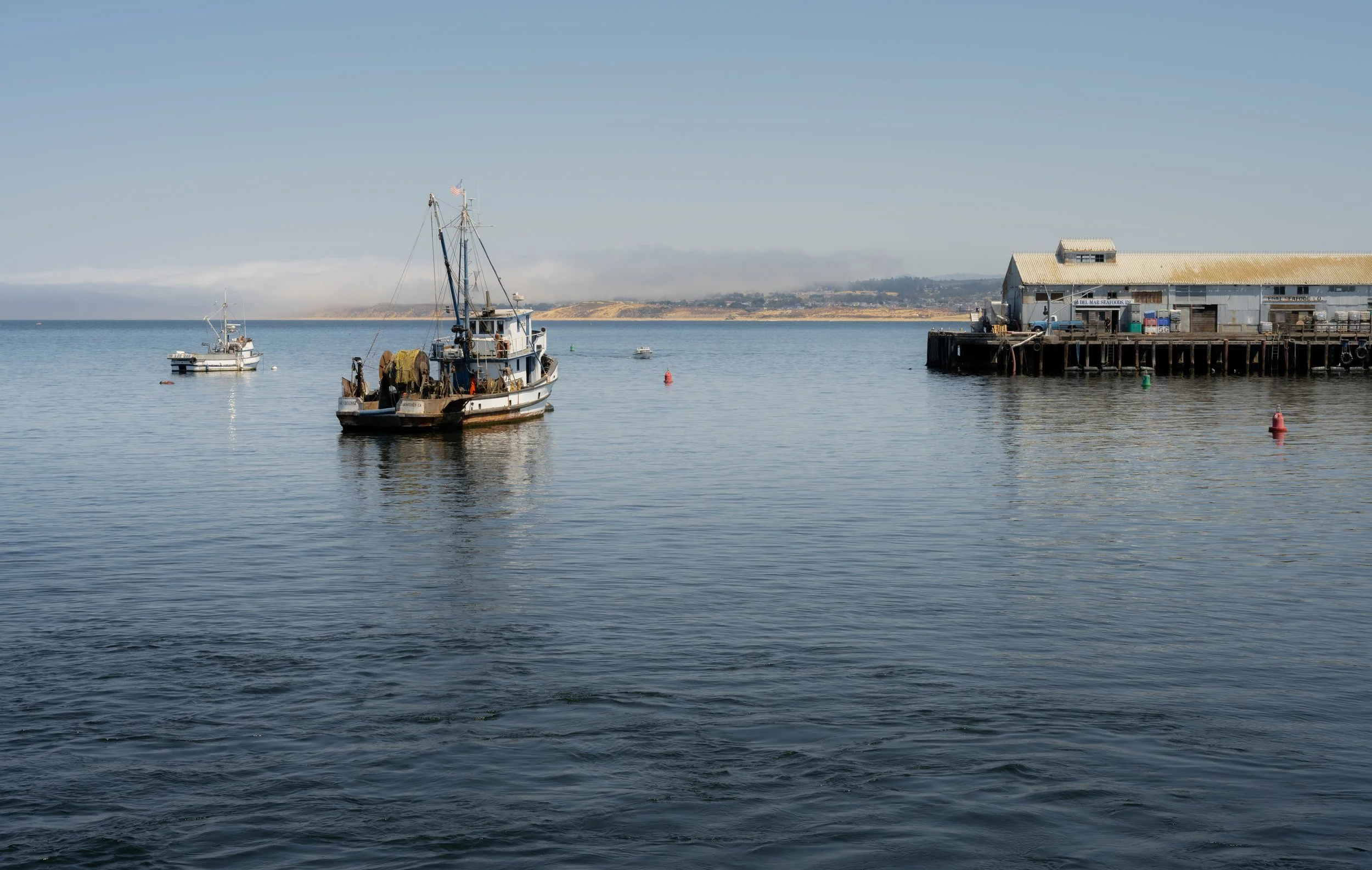 Monterrey, California, August 2024