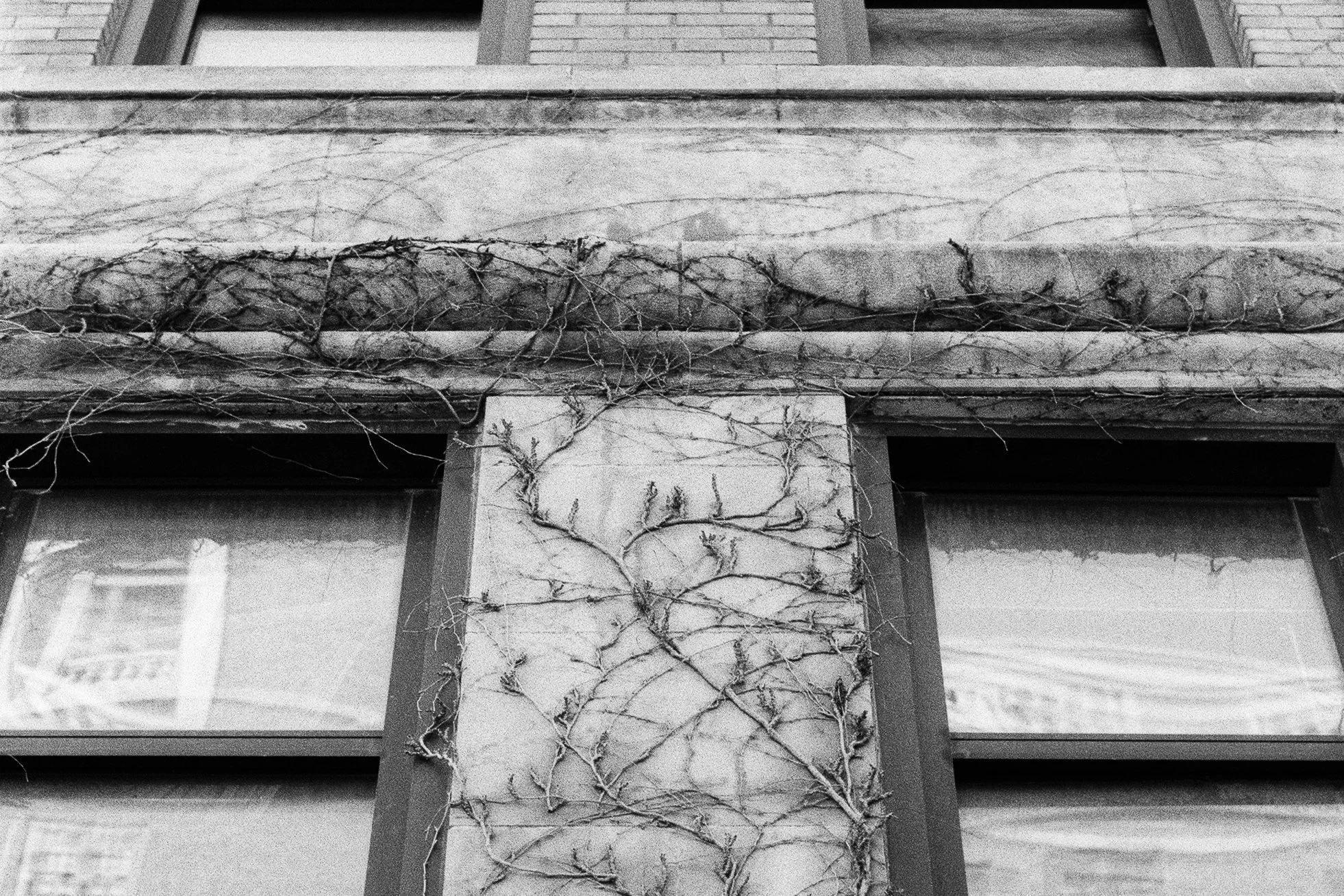 Detroit, October 2025 (Nikon FM)